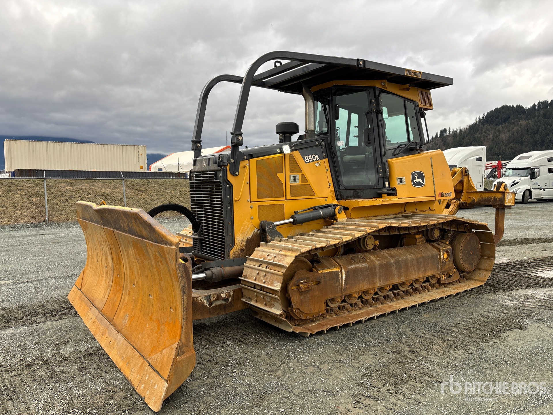 General Appearance with Spin