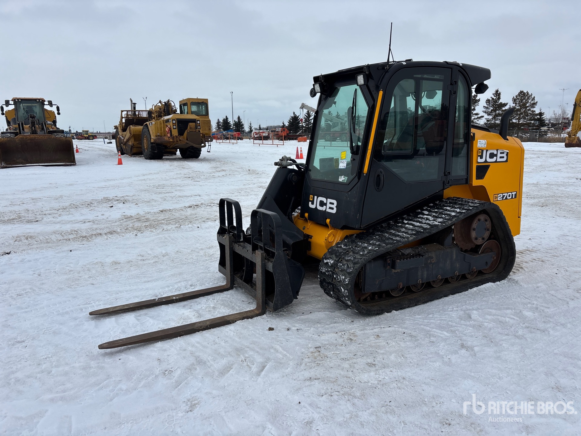 General Appearance with Spin