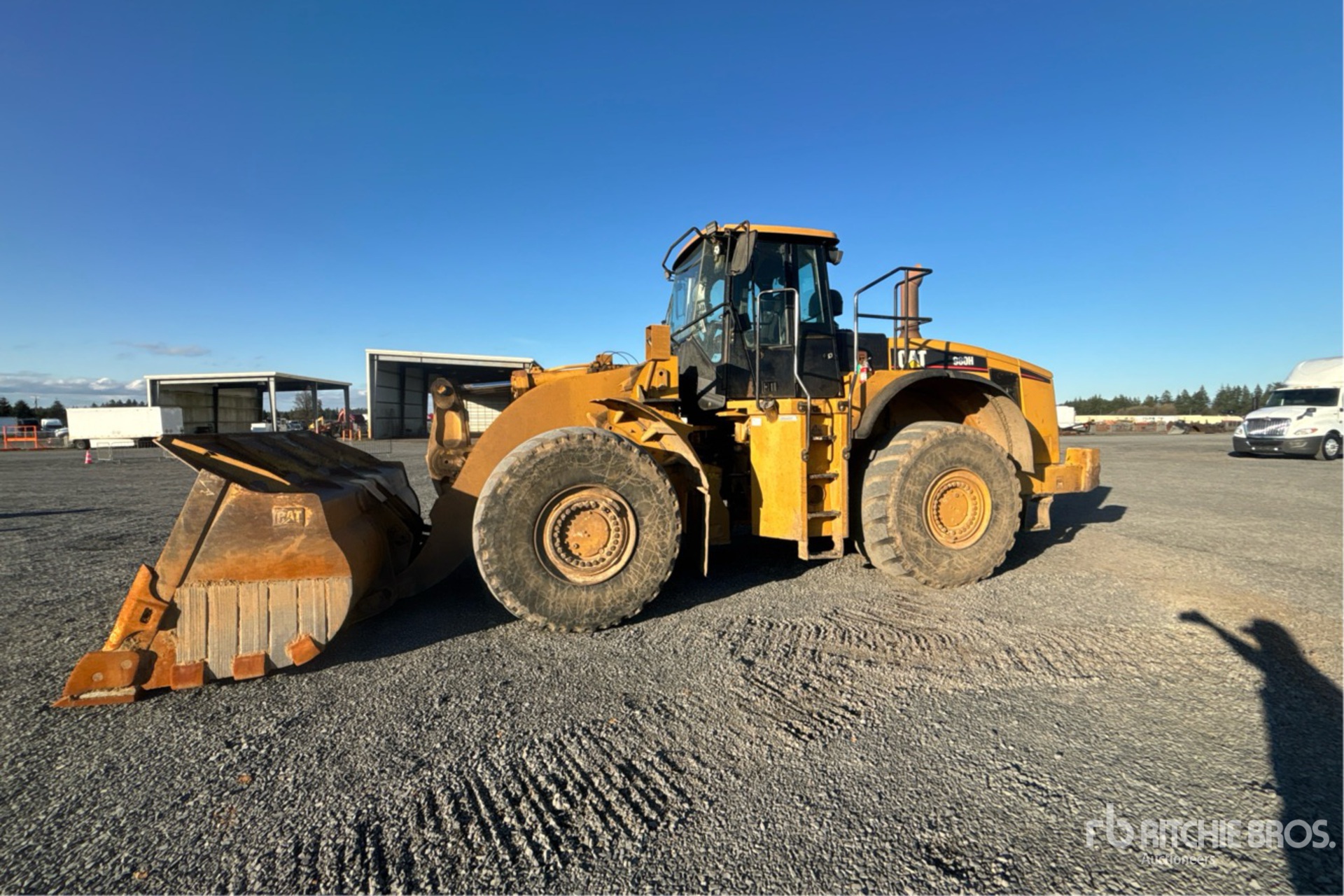 General Appearance with Spin