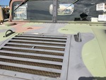 General Appearance with Paint
