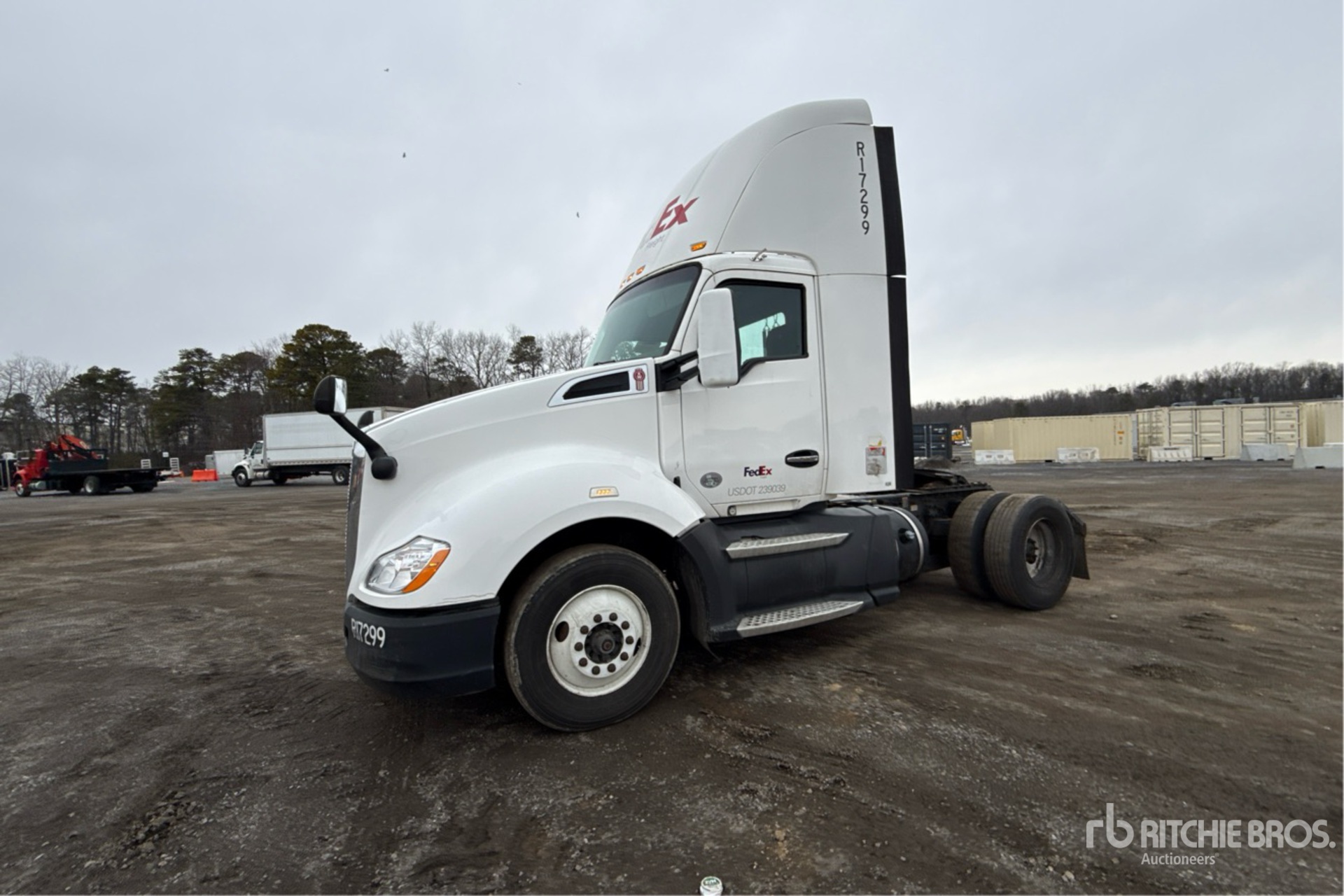 General Appearance with Spin