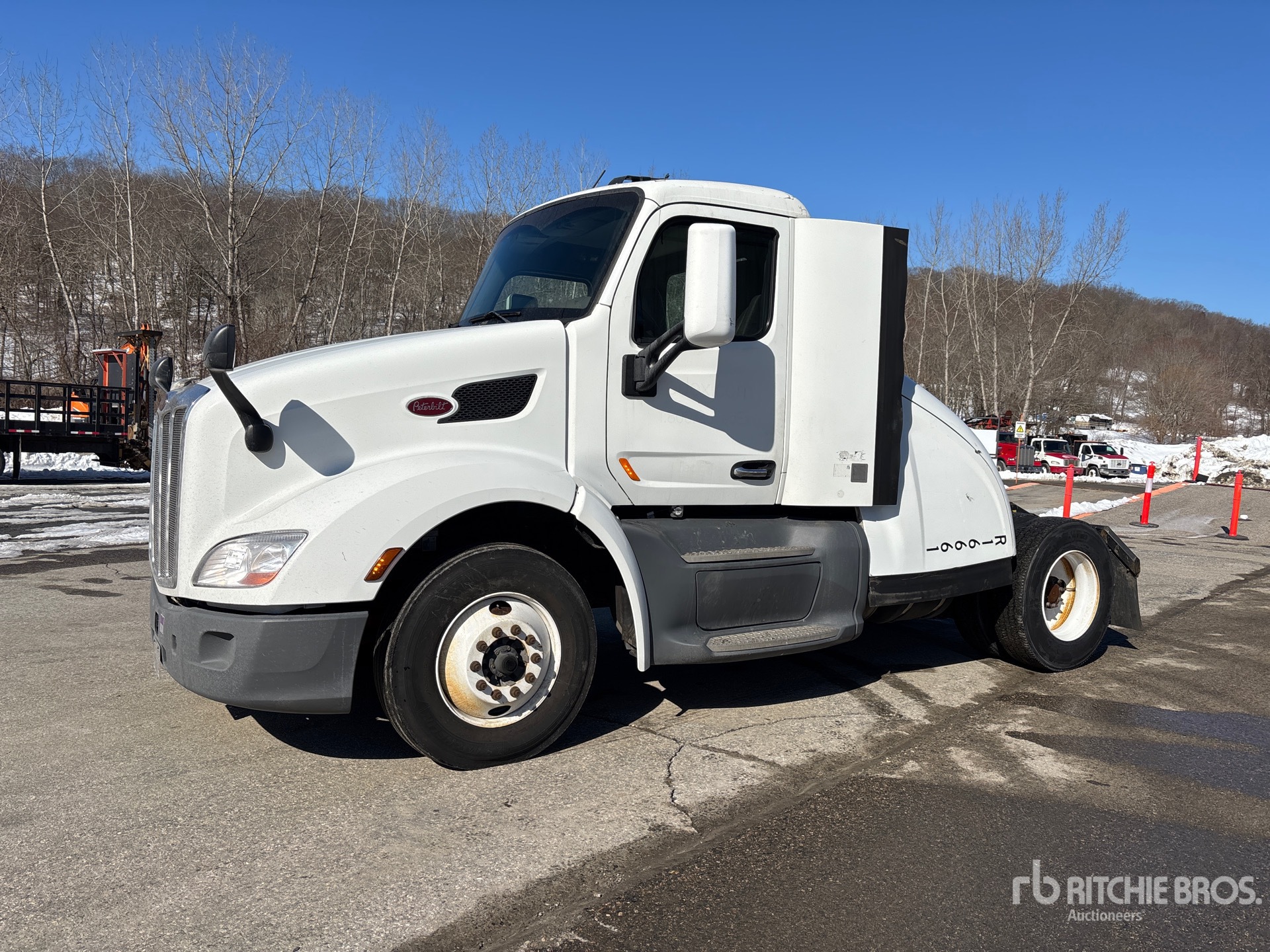 General Appearance with Spin