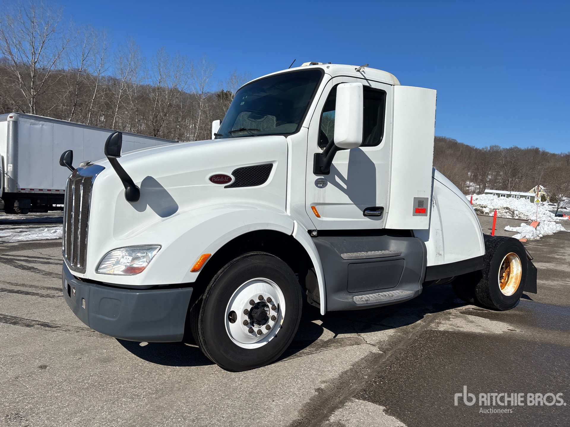 General Appearance with Spin