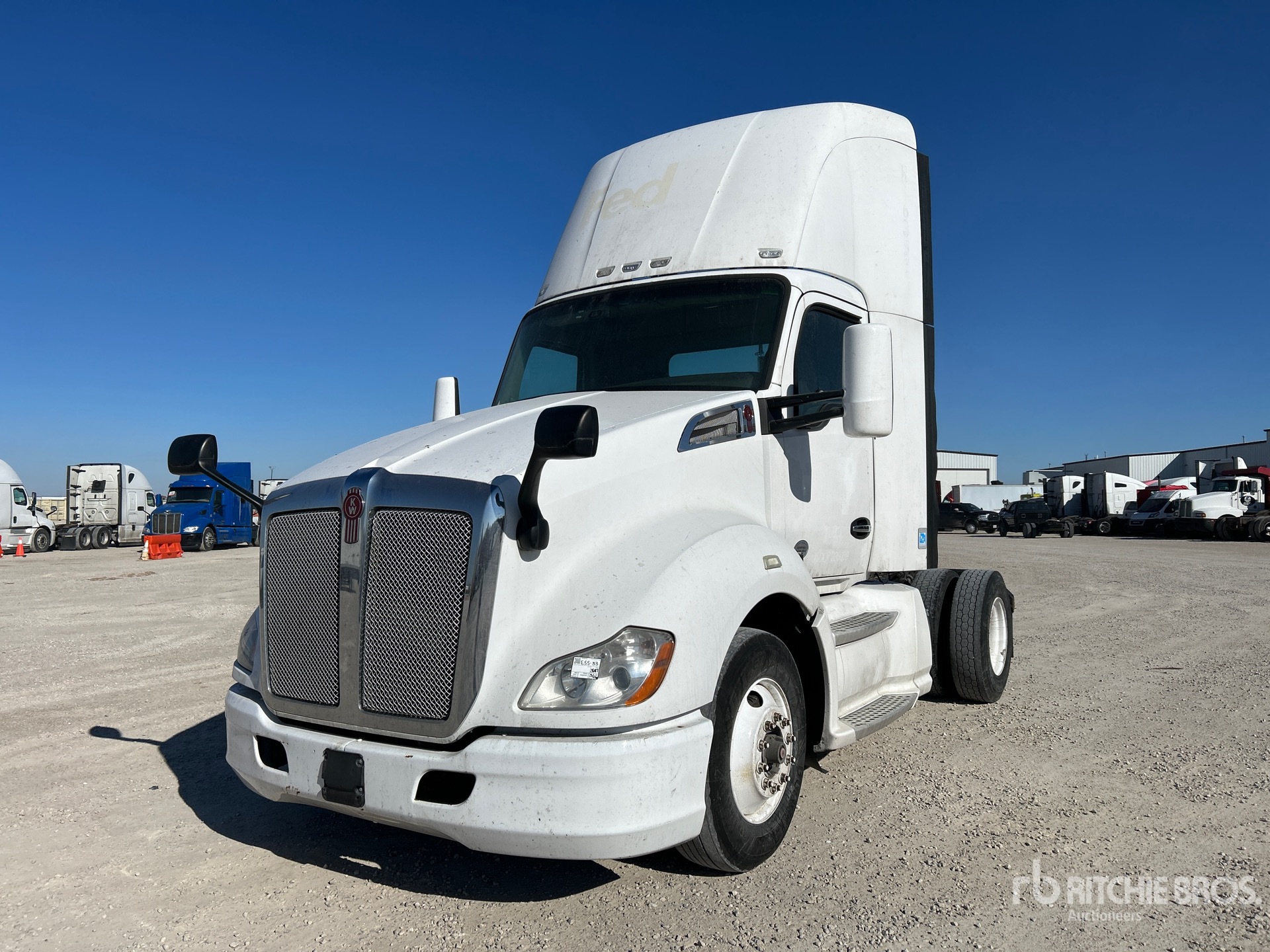 General Appearance with Spin