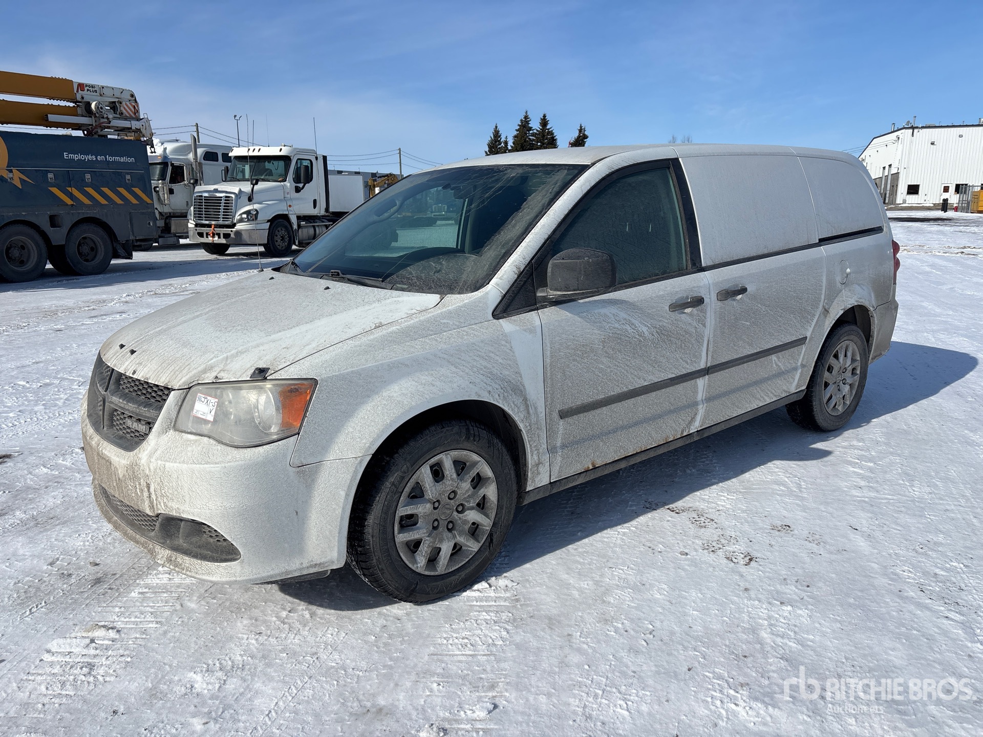 General Appearance with Spin