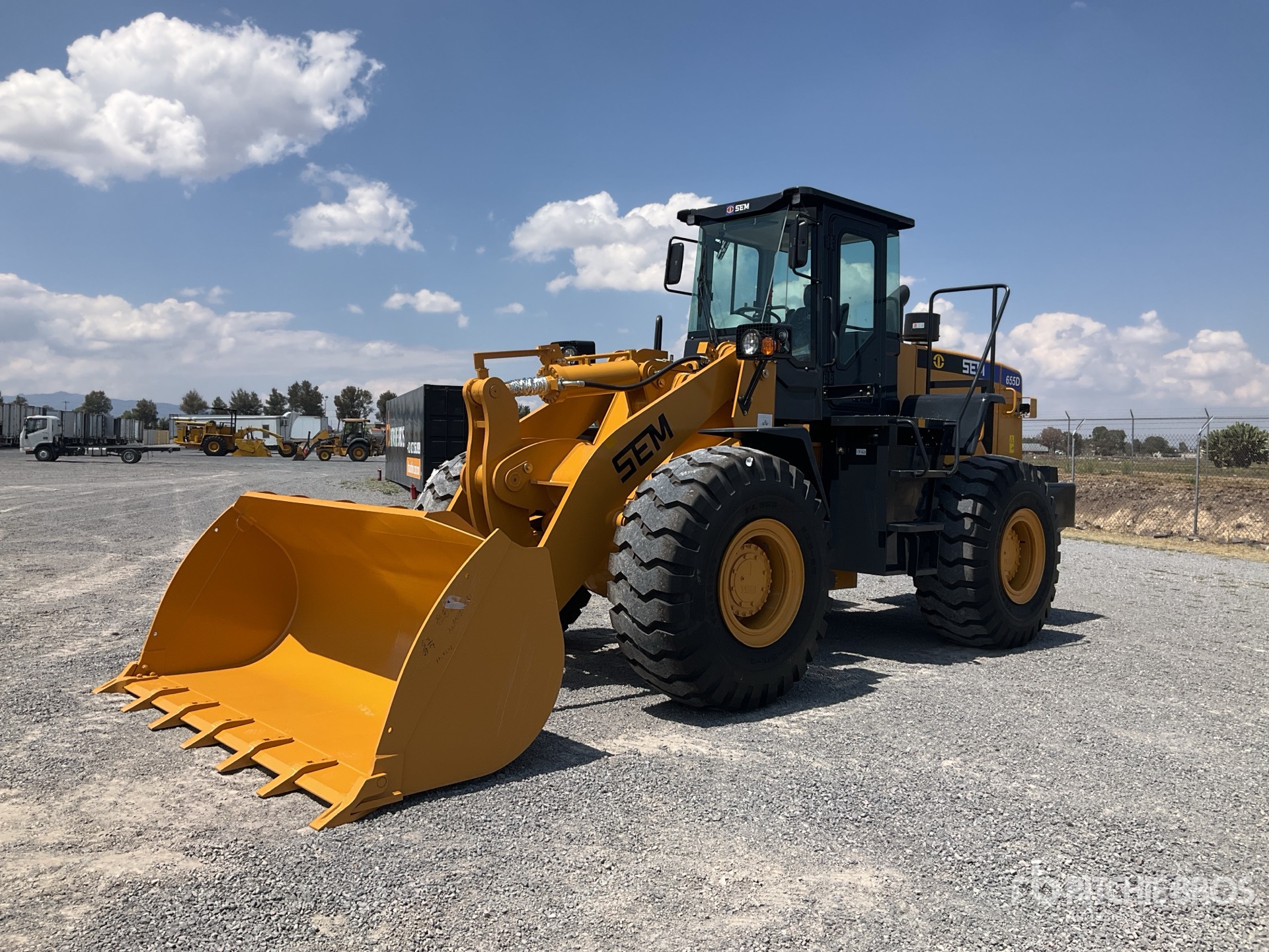 General Appearance with Spin