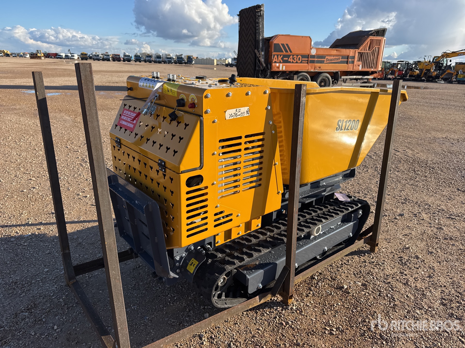 General Appearance with