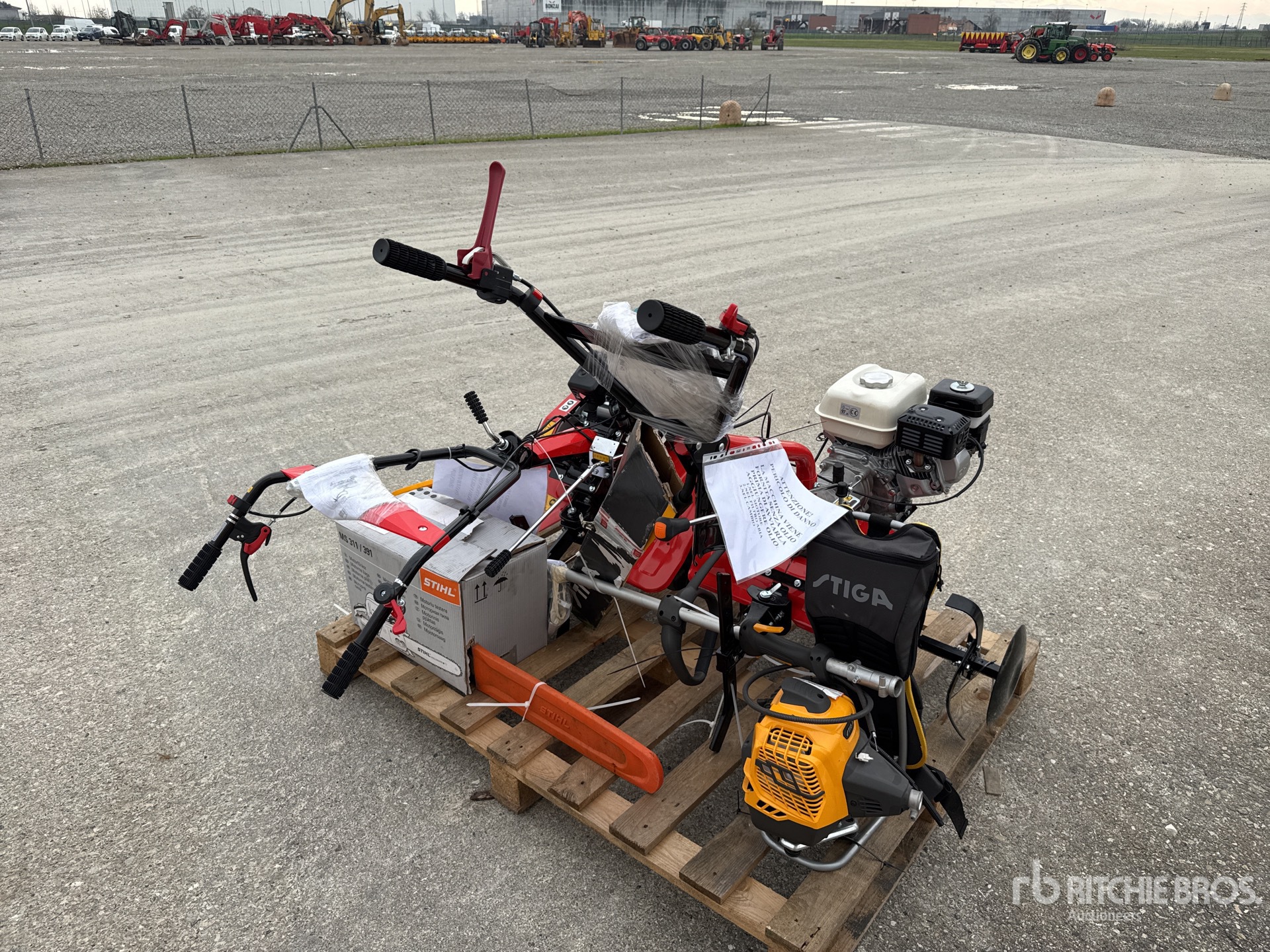 General Appearance with