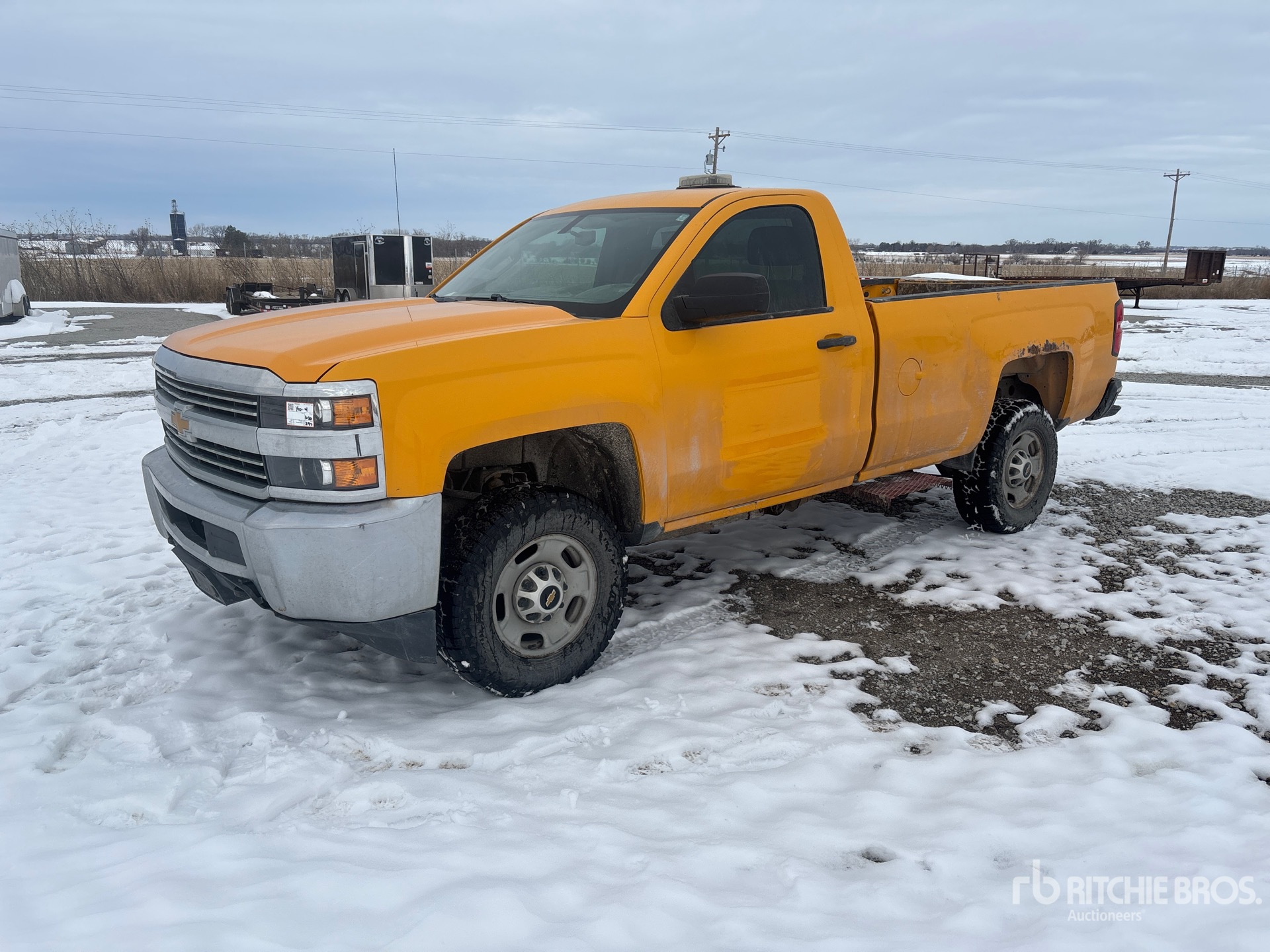 General Appearance with Spin