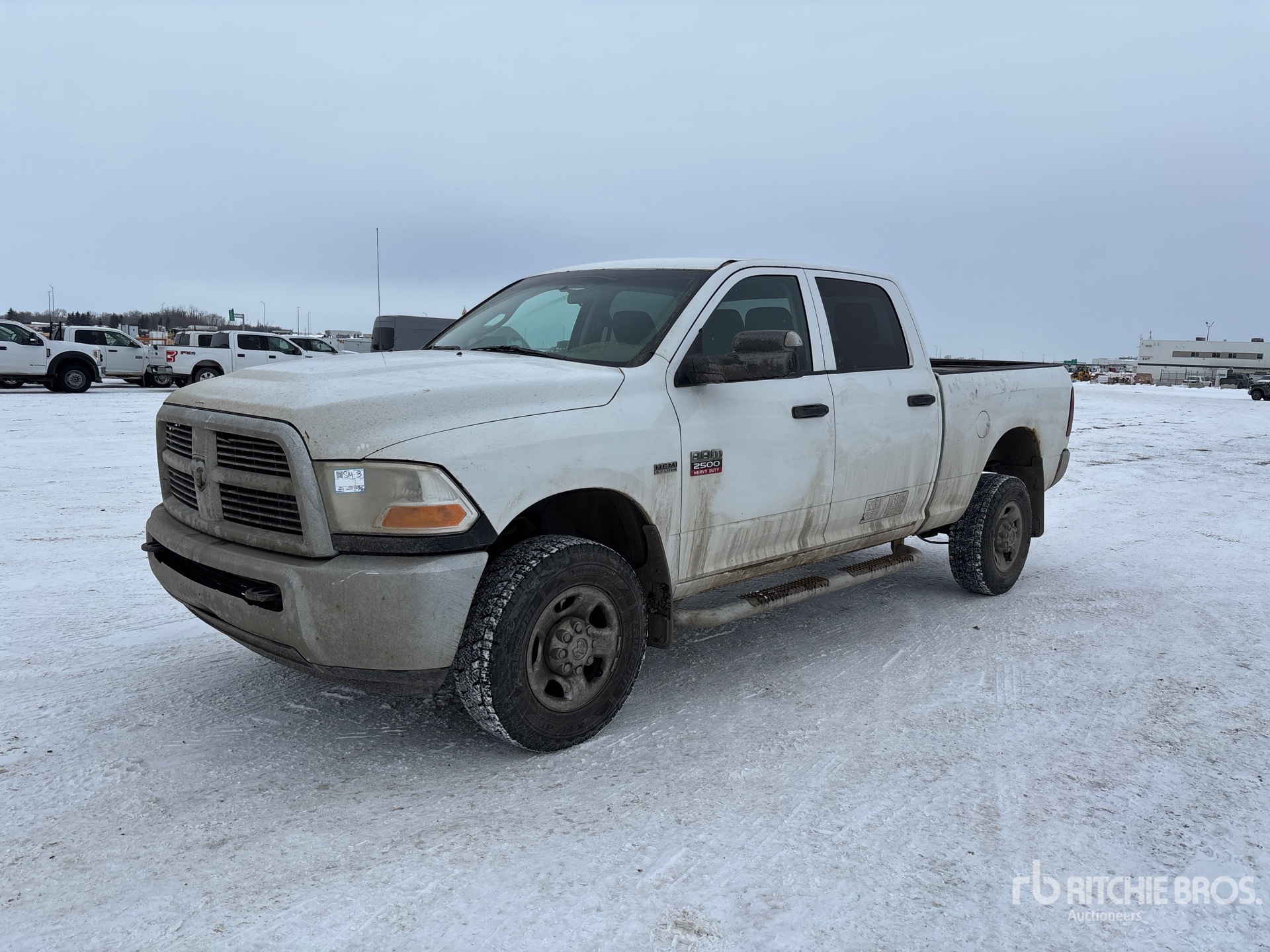 General Appearance with Spin