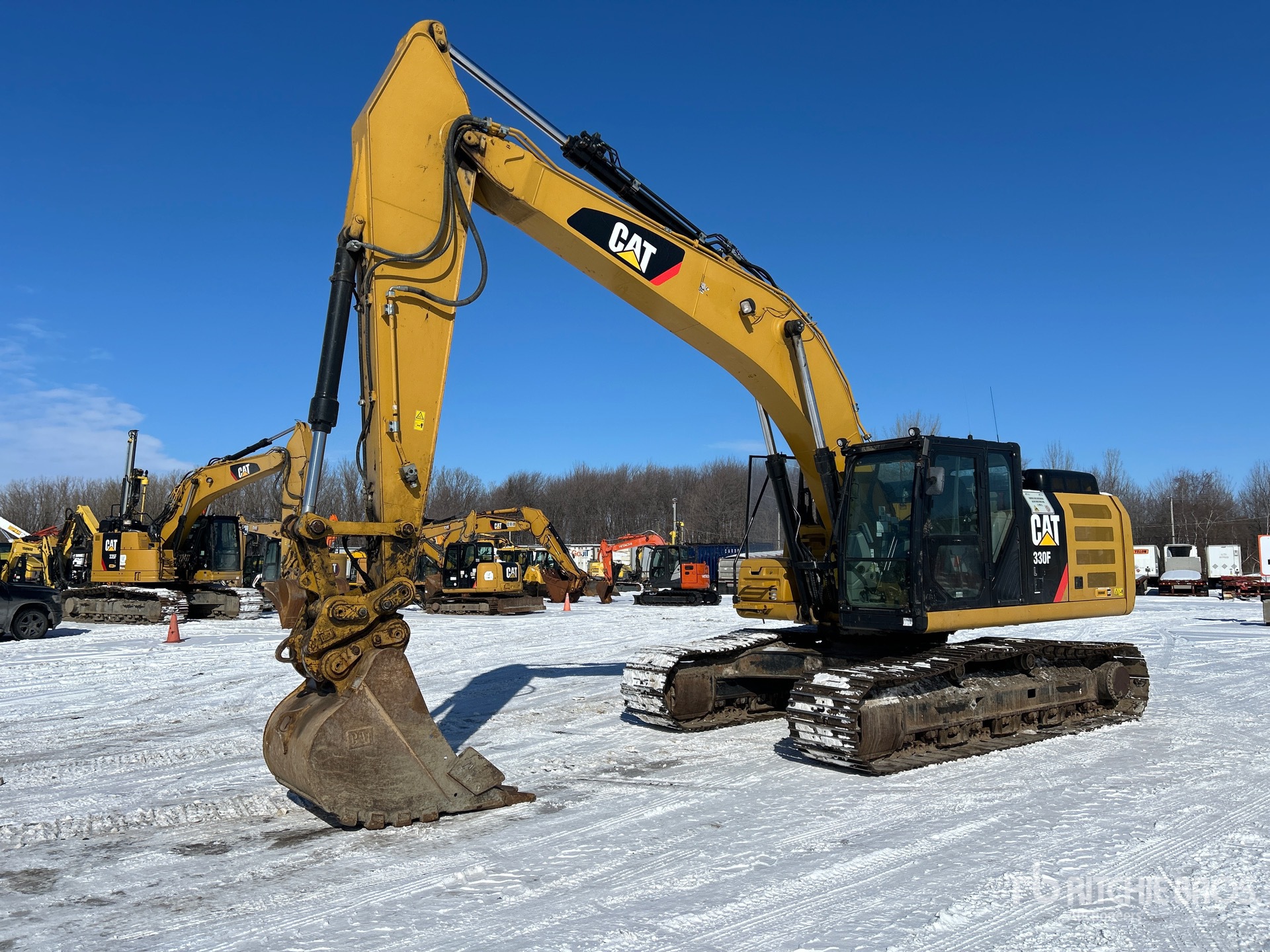 General Appearance with Spin