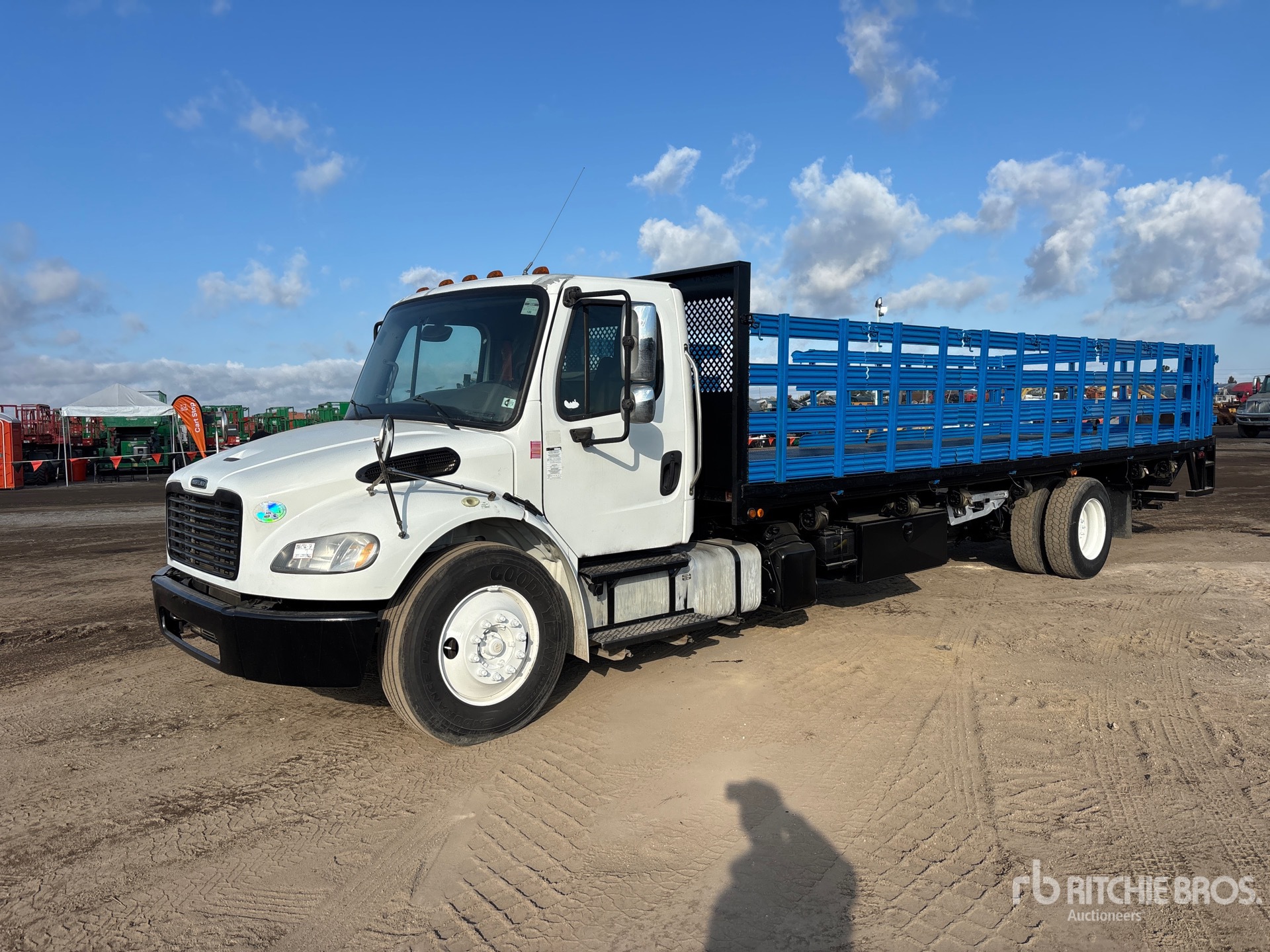 General Appearance with Spin