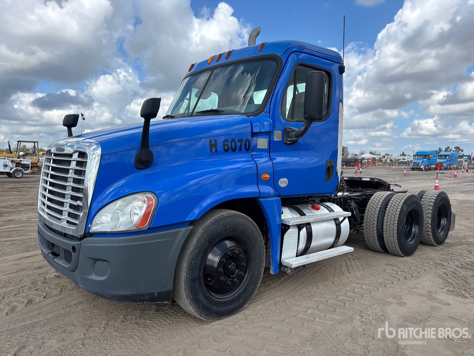 General Appearance with Spin