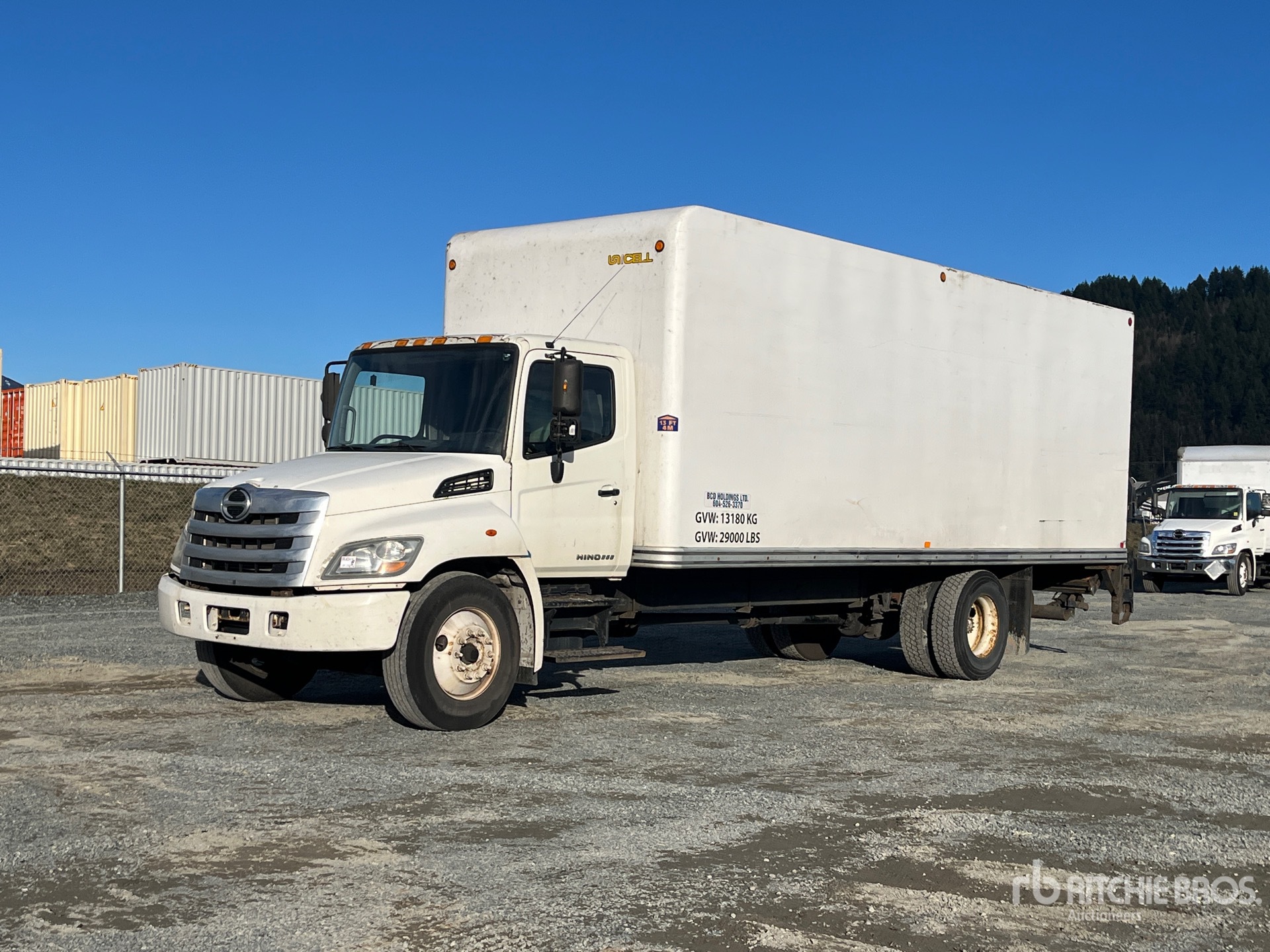 General Appearance with Spin