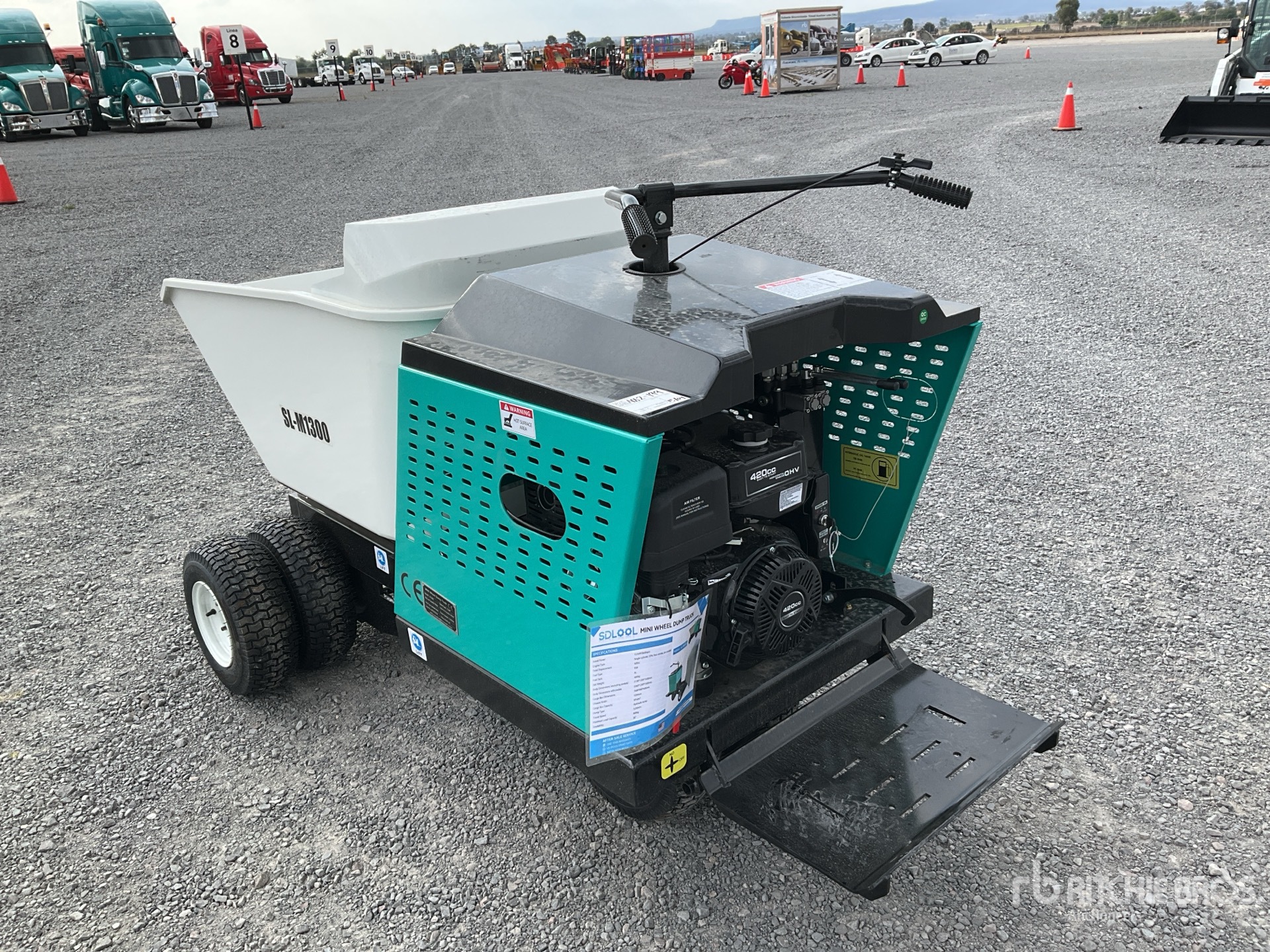 General Appearance with Picture, Left Rear Corner