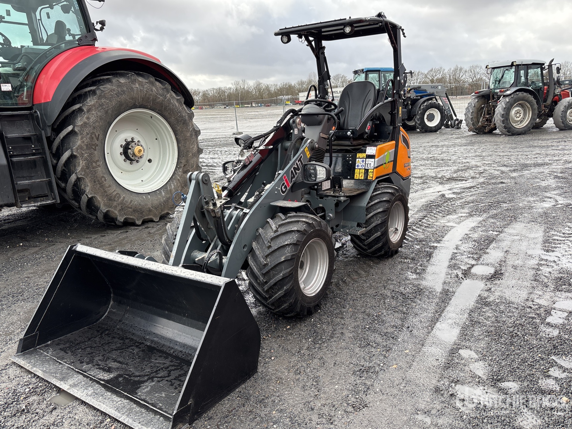 General Appearance with