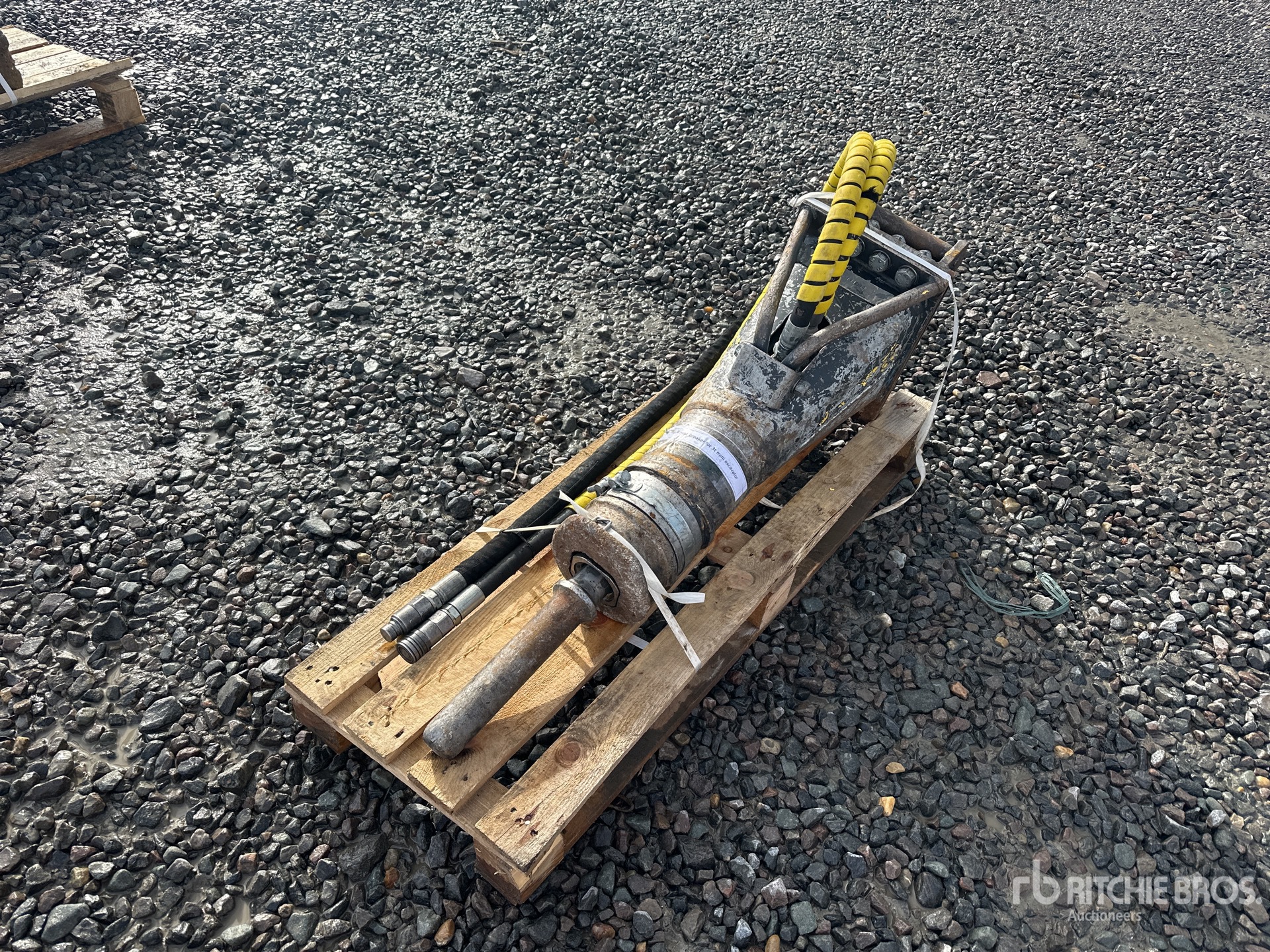 General Appearance with Foto, angolo anteriore sinistro