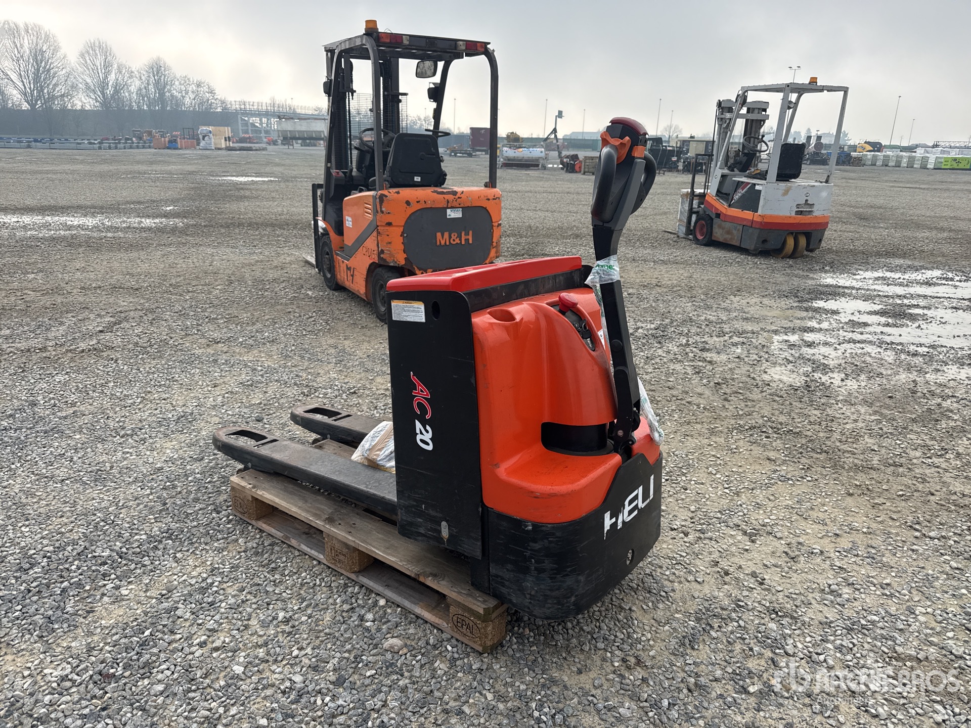 General Appearance with