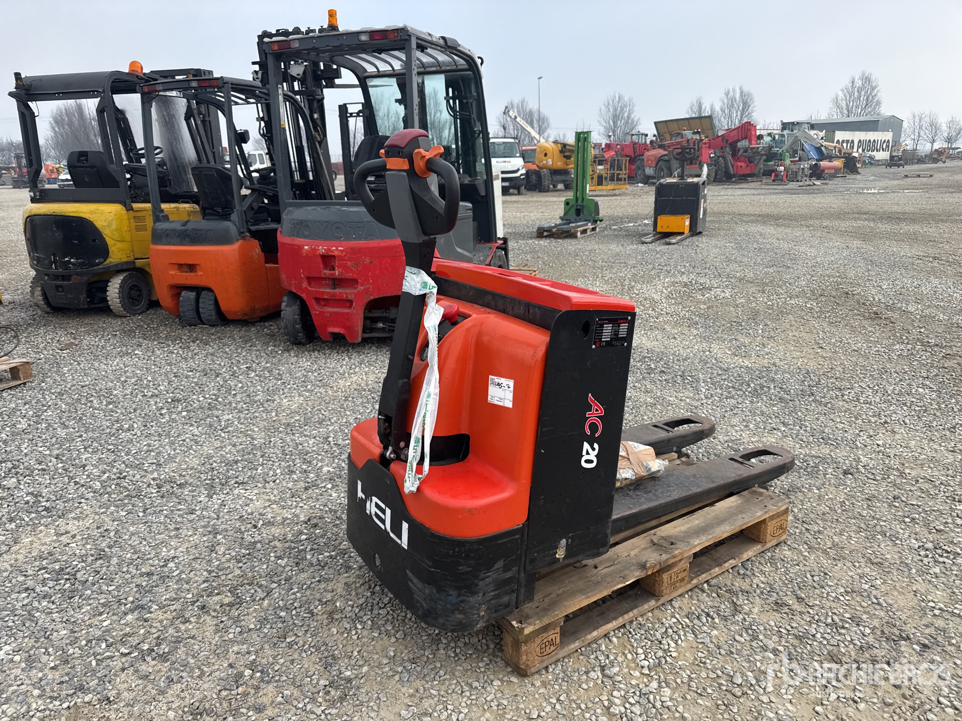 General Appearance with