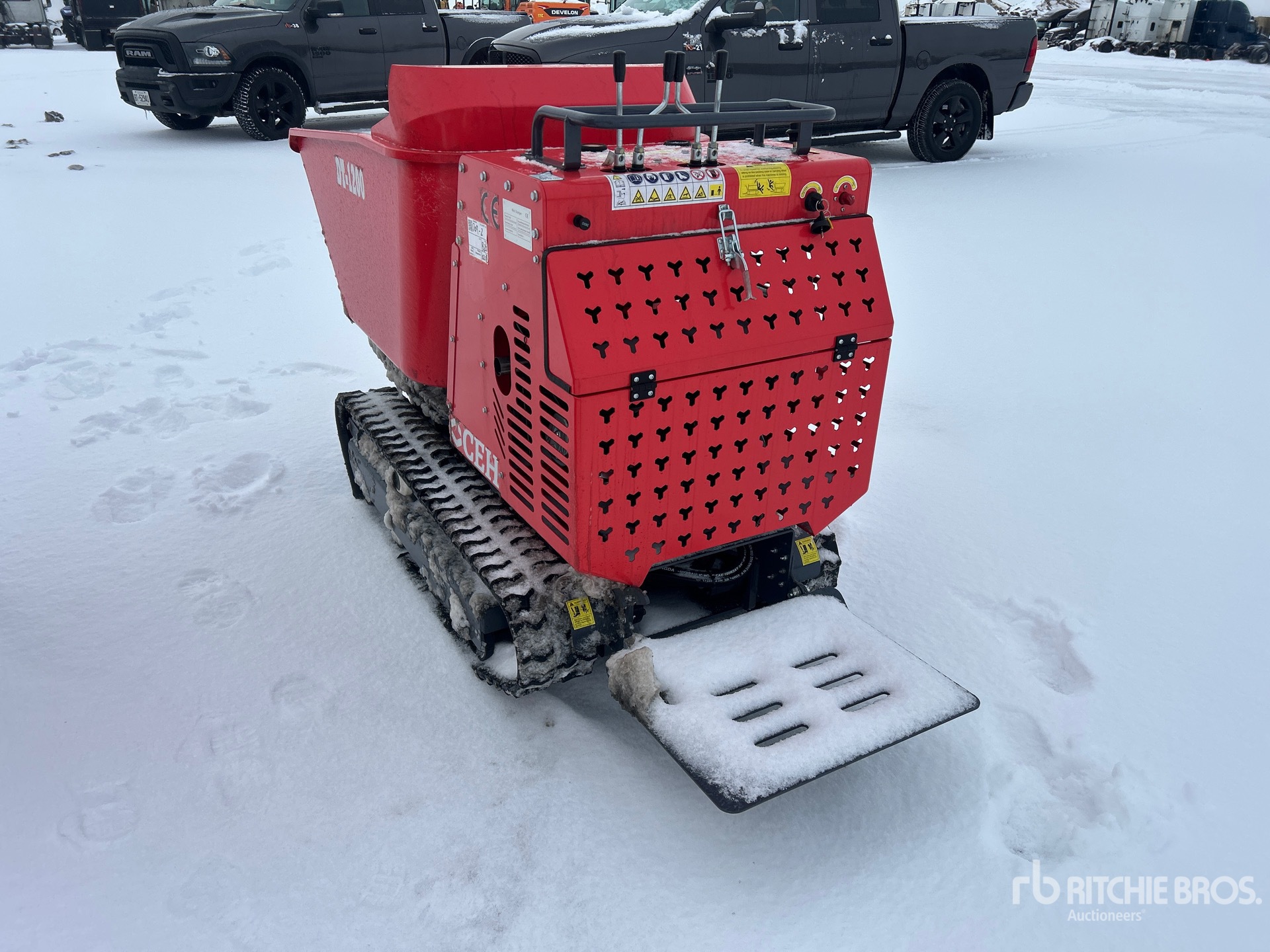 General Appearance with Zdjęcie, lewy dolny róg
