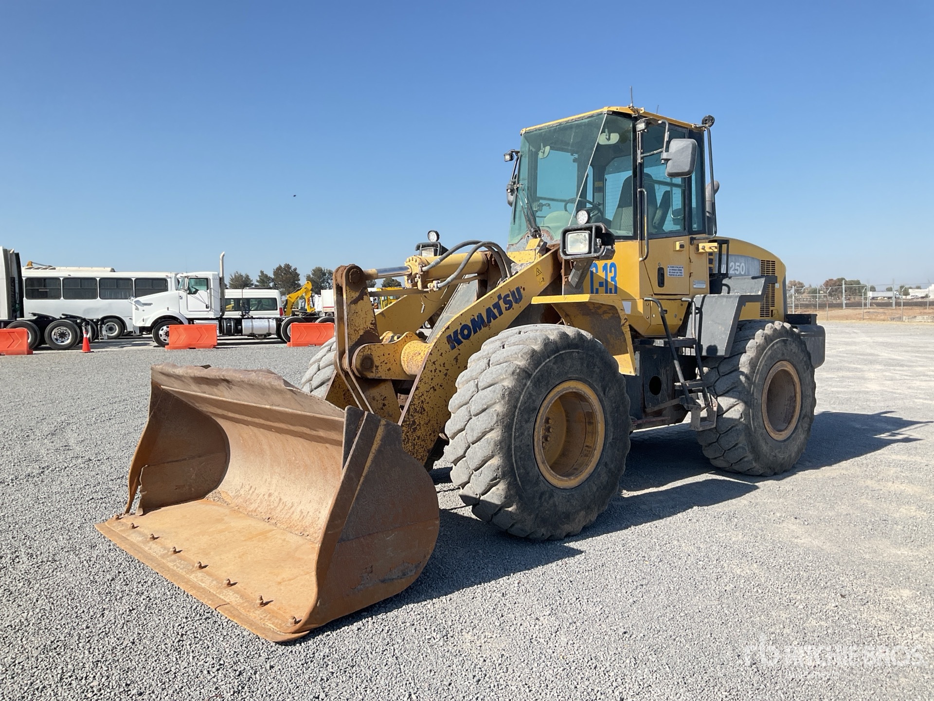 General Appearance with Spin