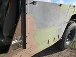 General Appearance with Paint