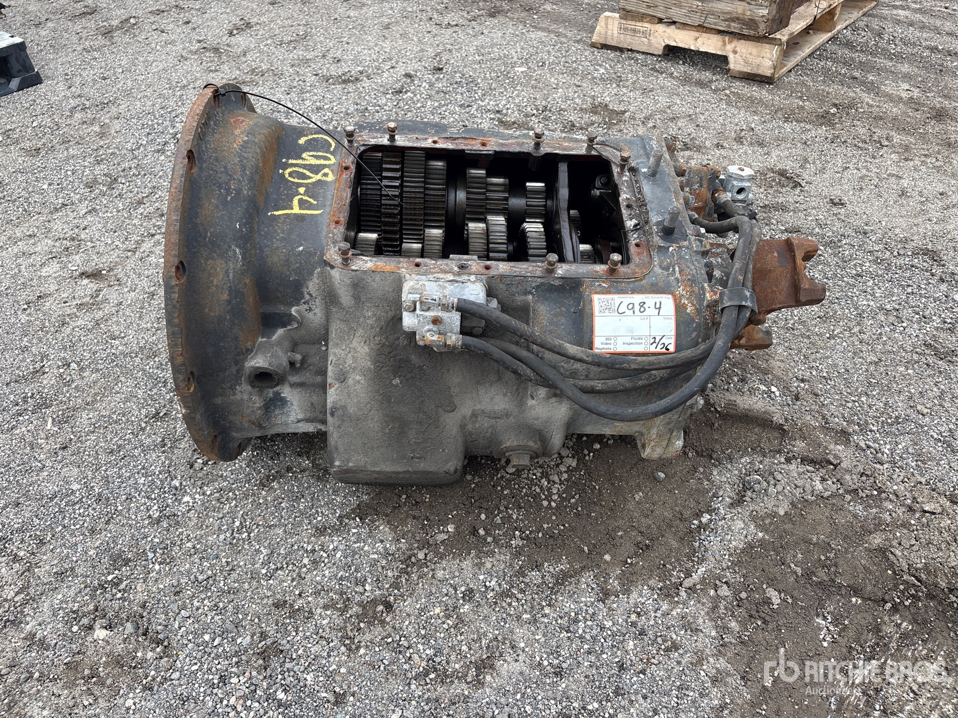 General Appearance with