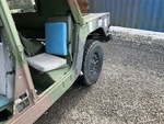 General Appearance with Paint