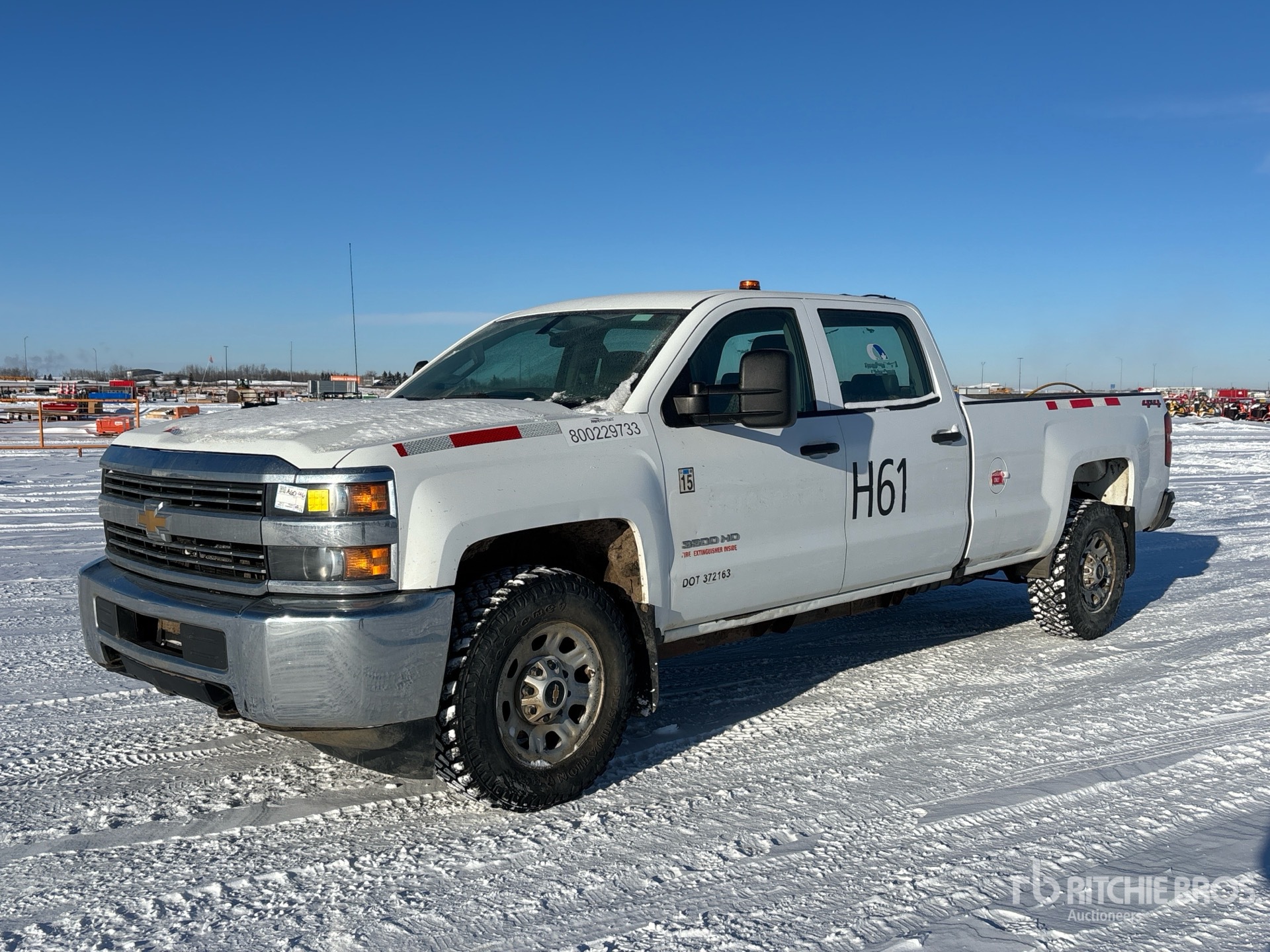 General Appearance with Spin