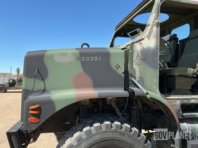 General Appearance with Paint
