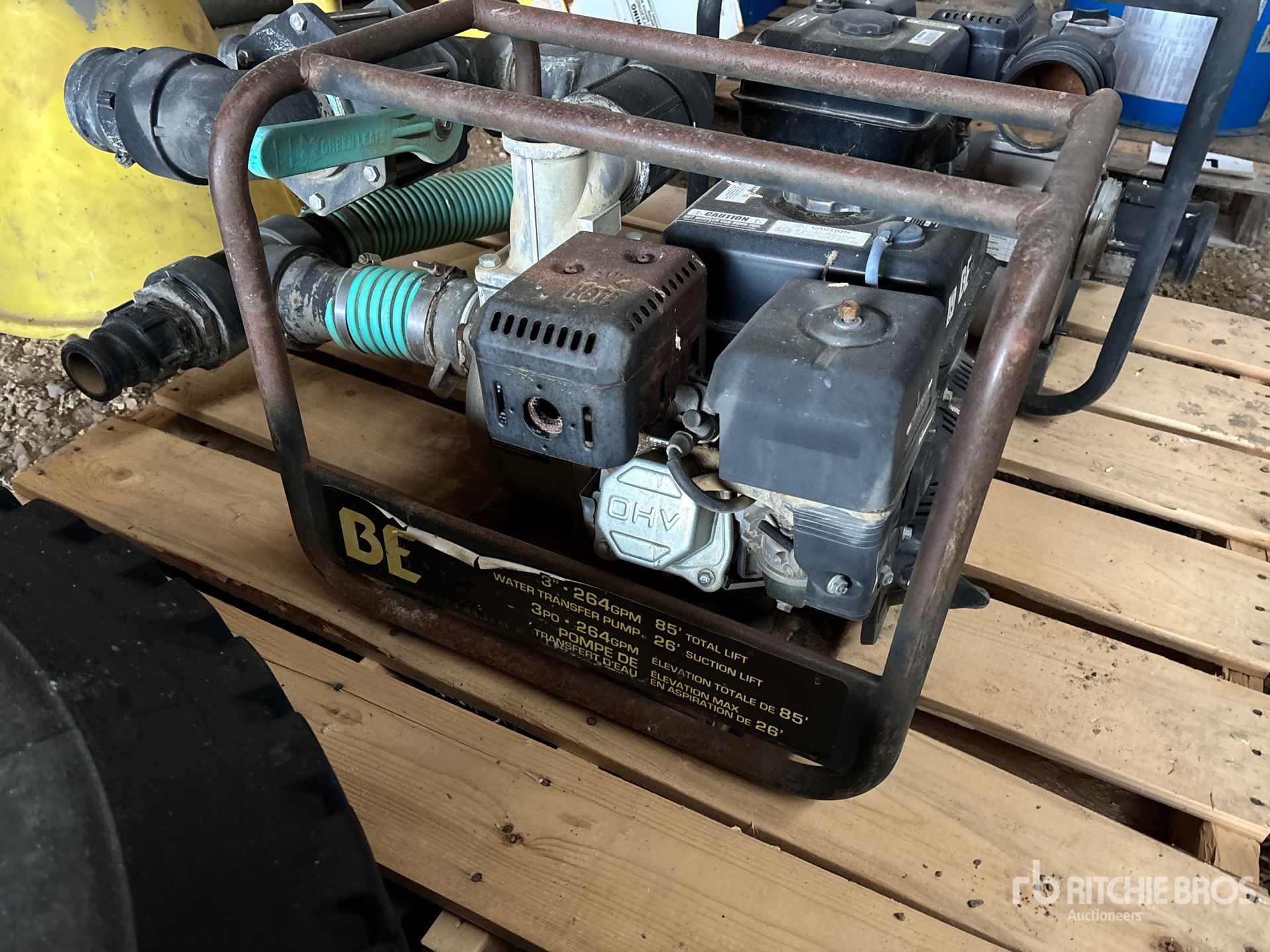 General Appearance with