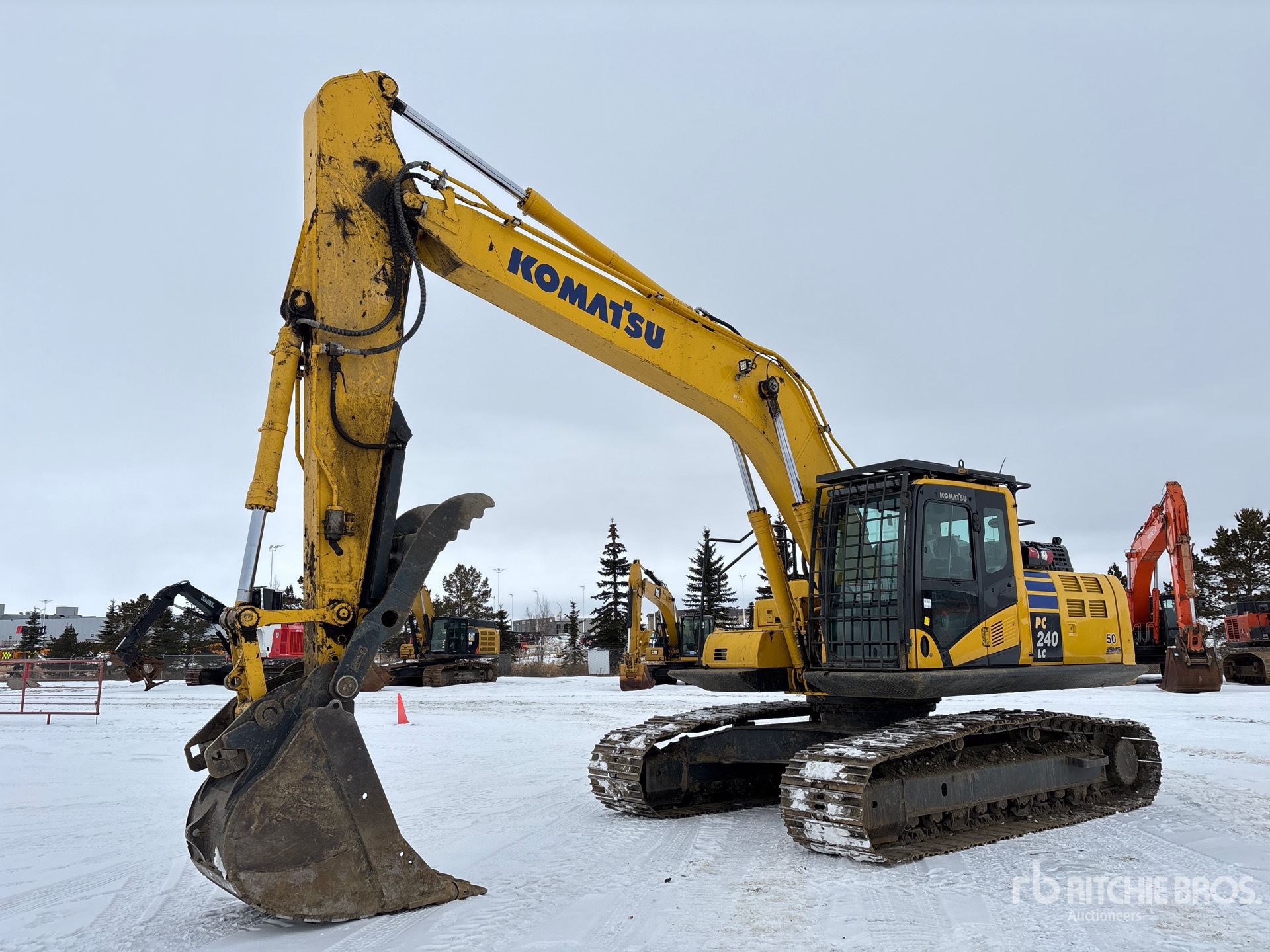 General Appearance with Spin