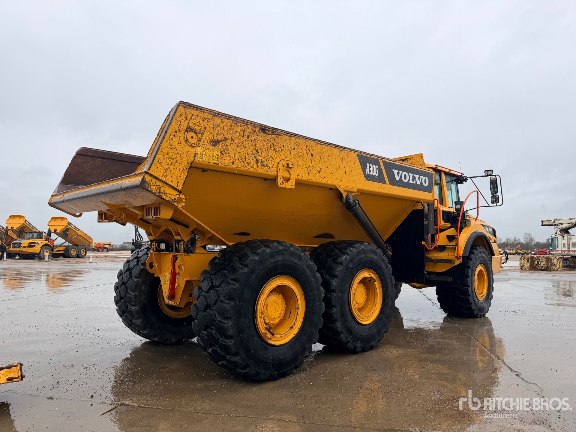 General Appearance with