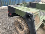General Appearance with Paint