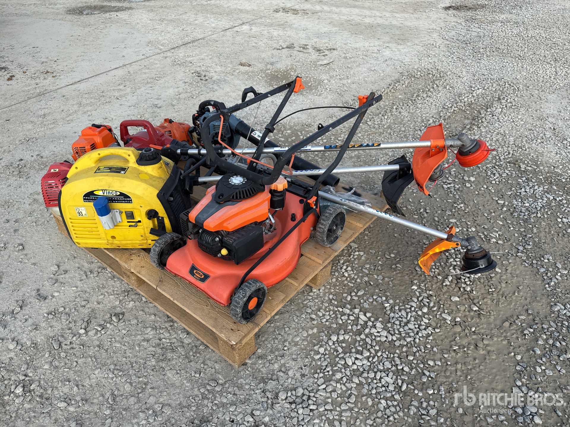 General Appearance with