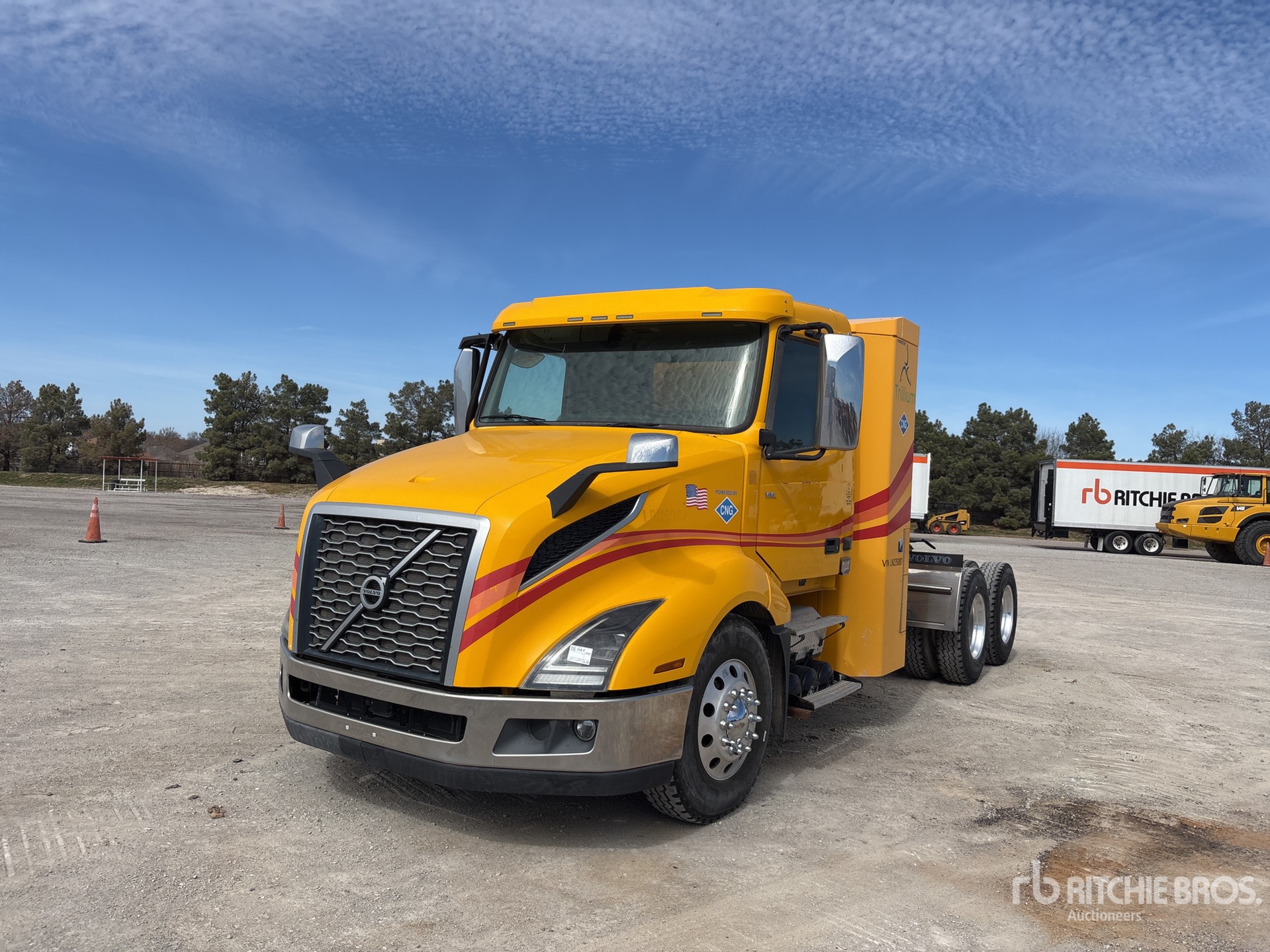 General Appearance with Spin