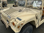 General Appearance with Paint