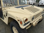 General Appearance with Paint