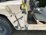 General Appearance with Paint