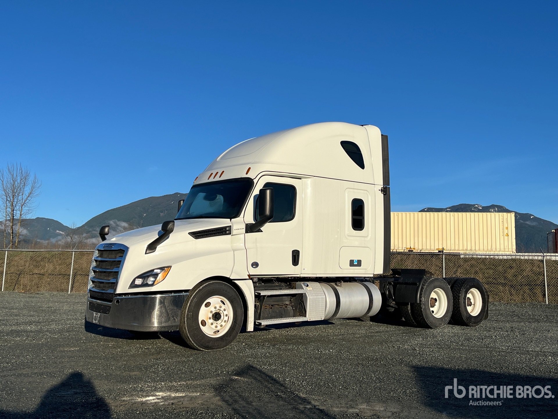 General Appearance with Spin