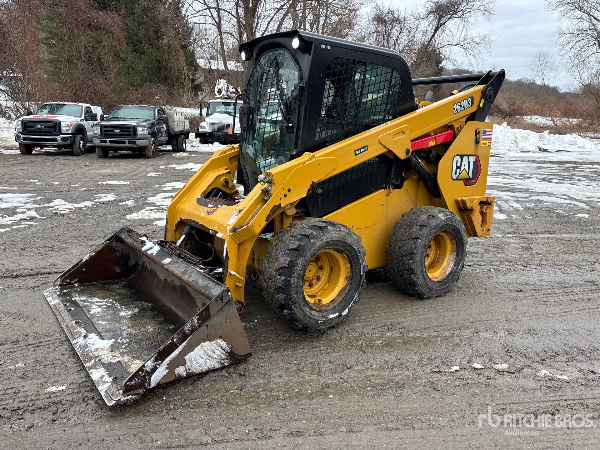 General Appearance with Spin