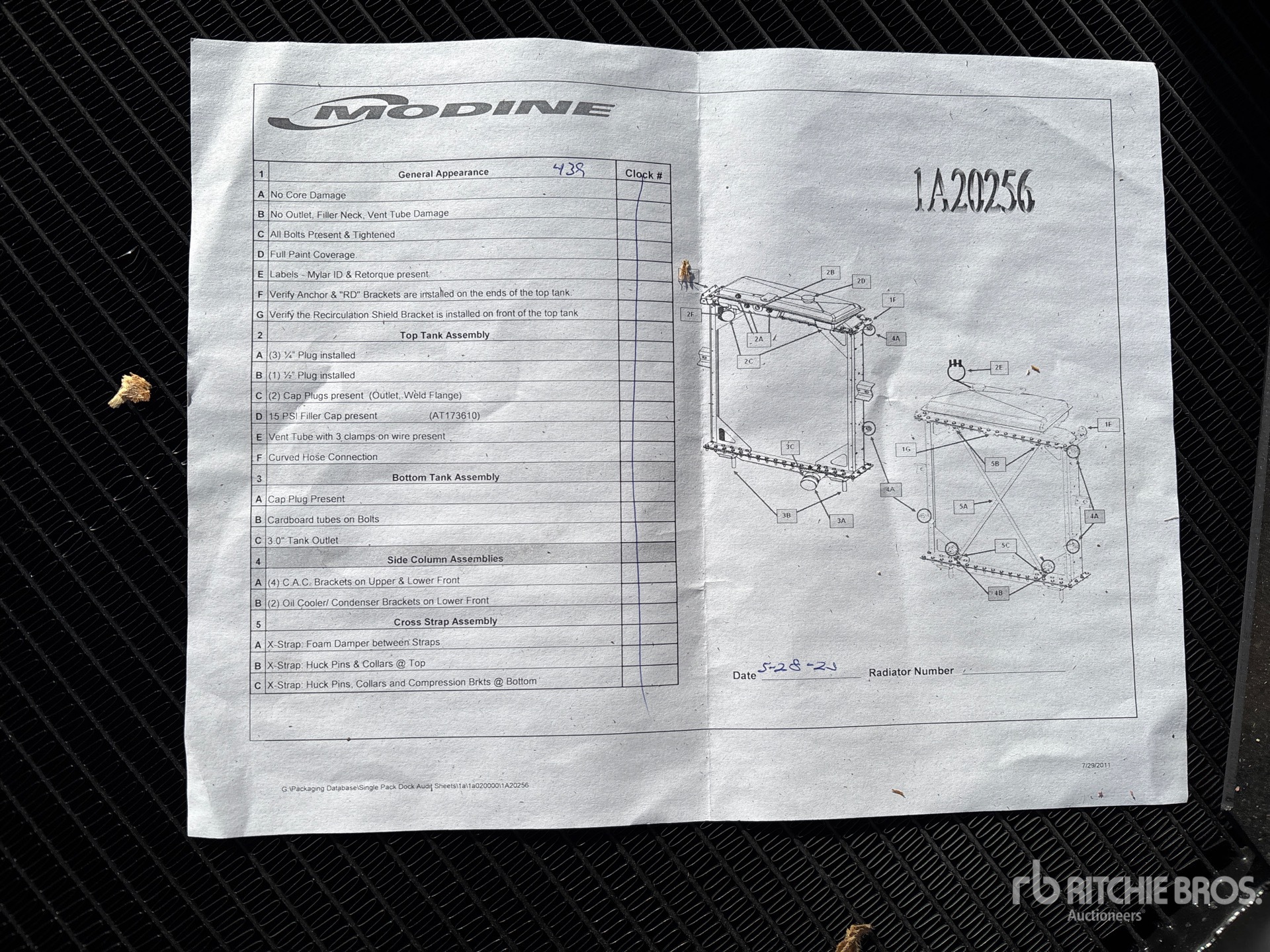 General Appearance with