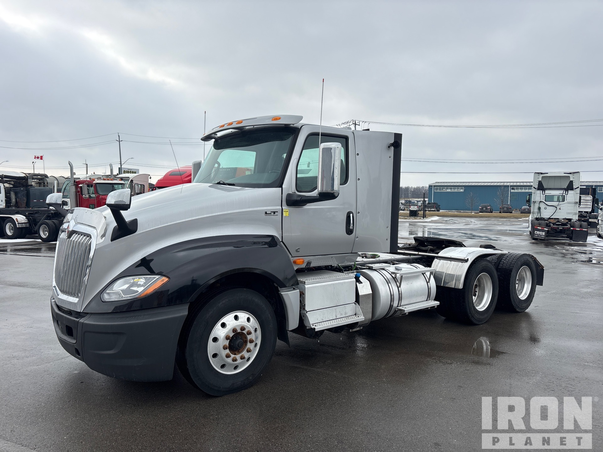 General Appearance with Spin