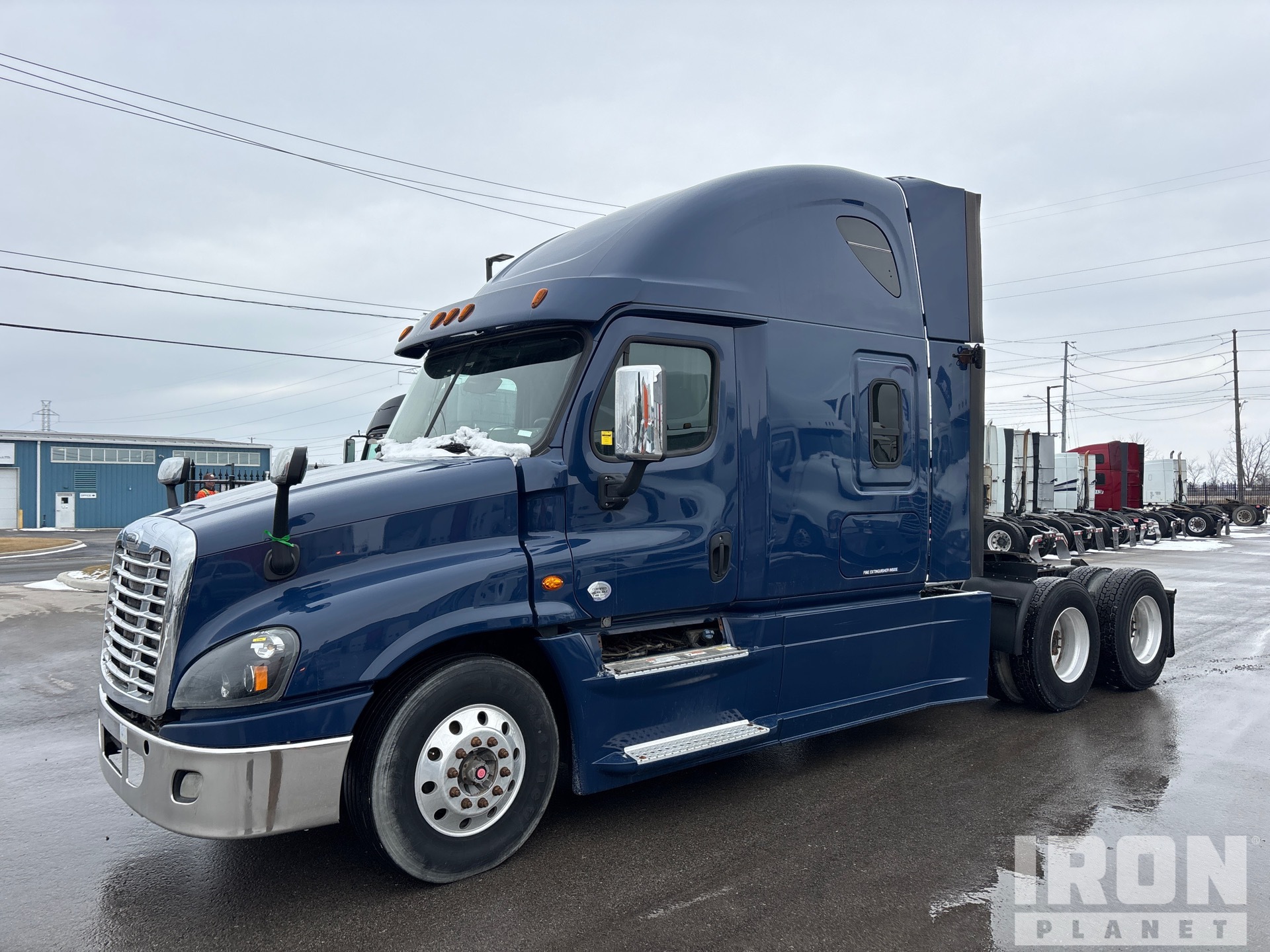 General Appearance with Spin