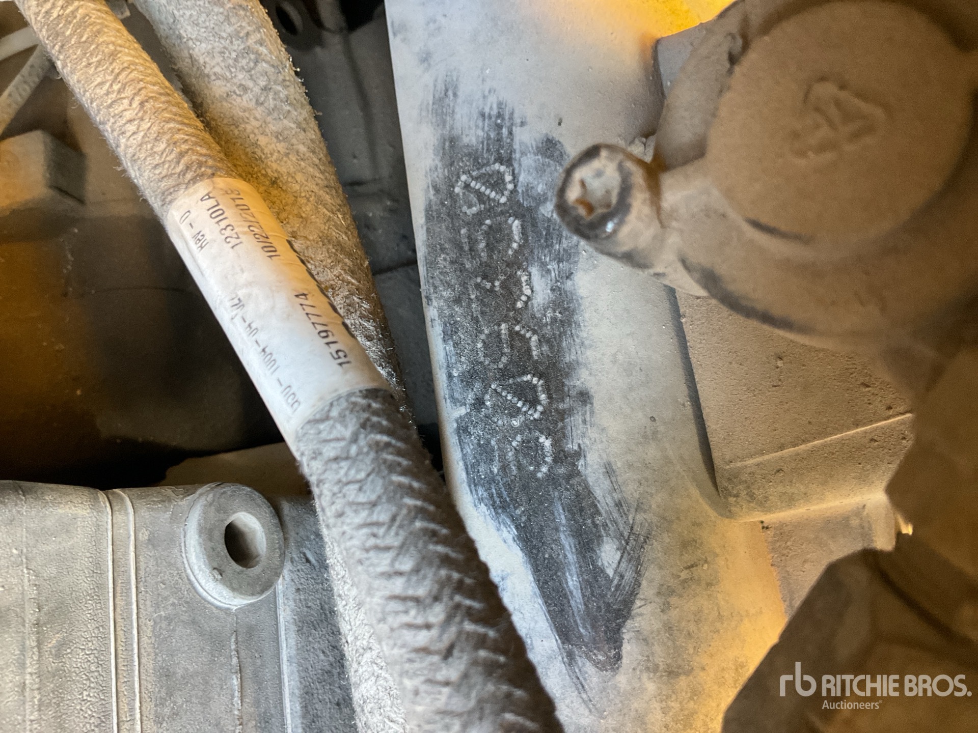 General Appearance with Numero seriale/numero d’identificazione del veicolo (VIN)