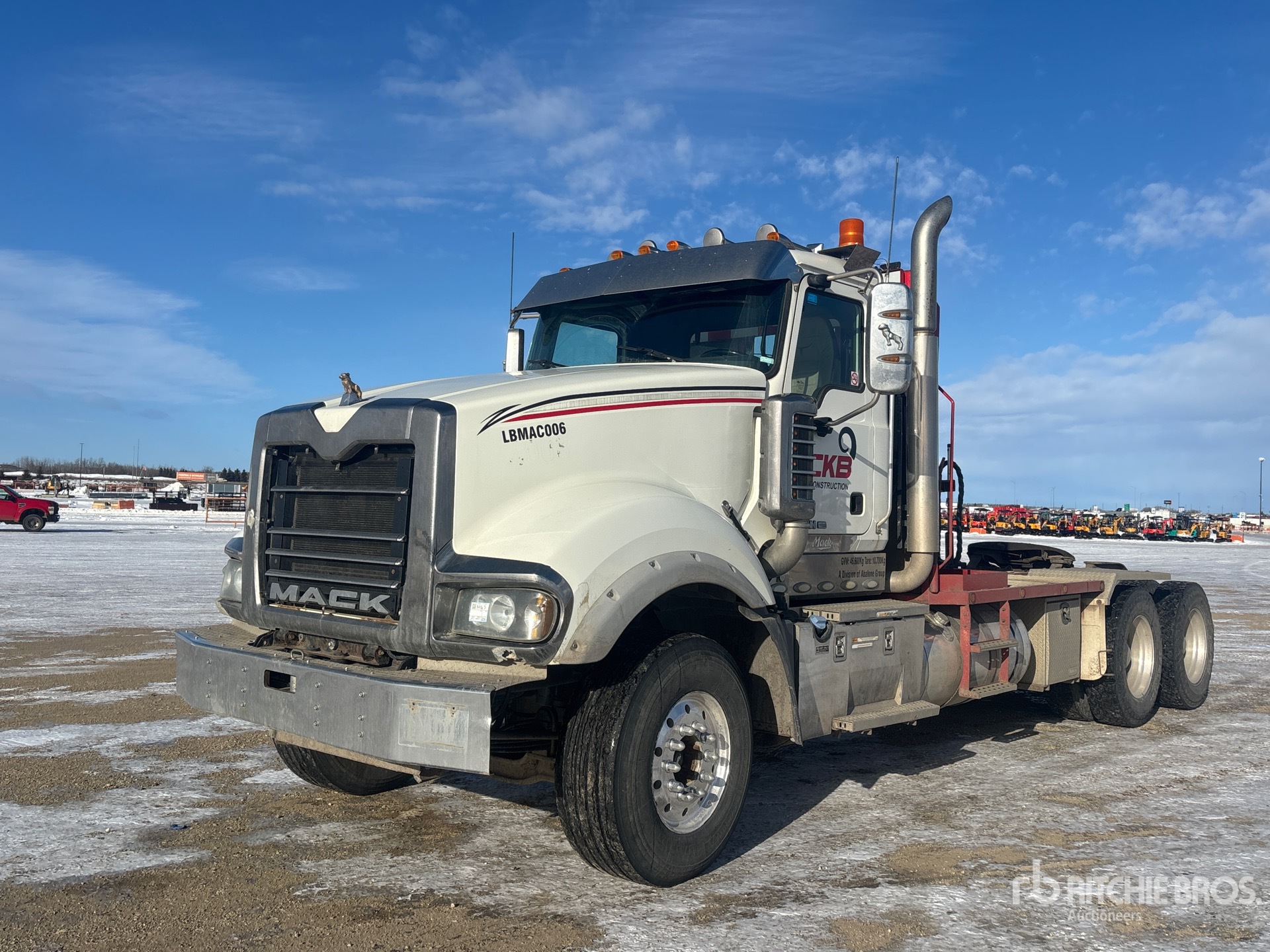 General Appearance with Spin