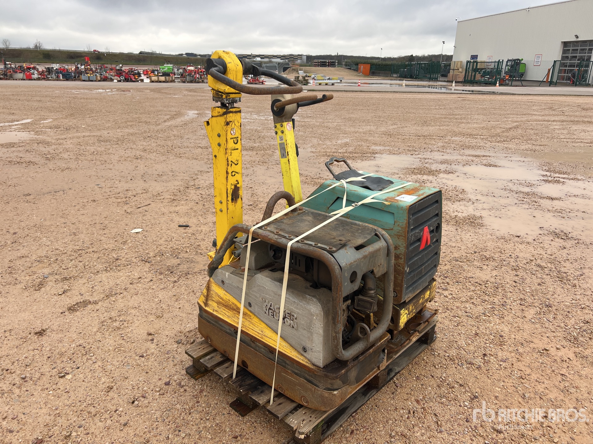 General Appearance with