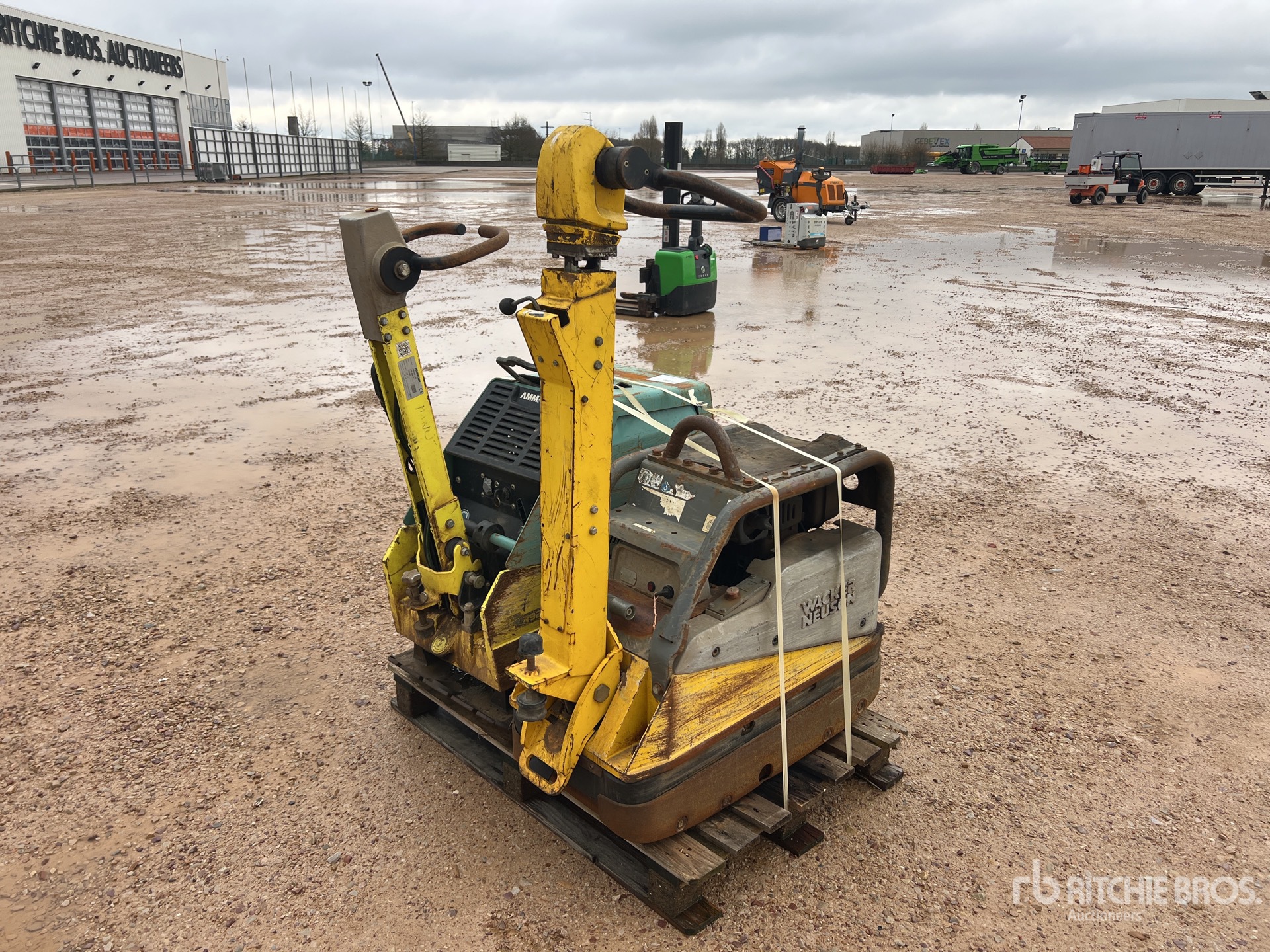 General Appearance with