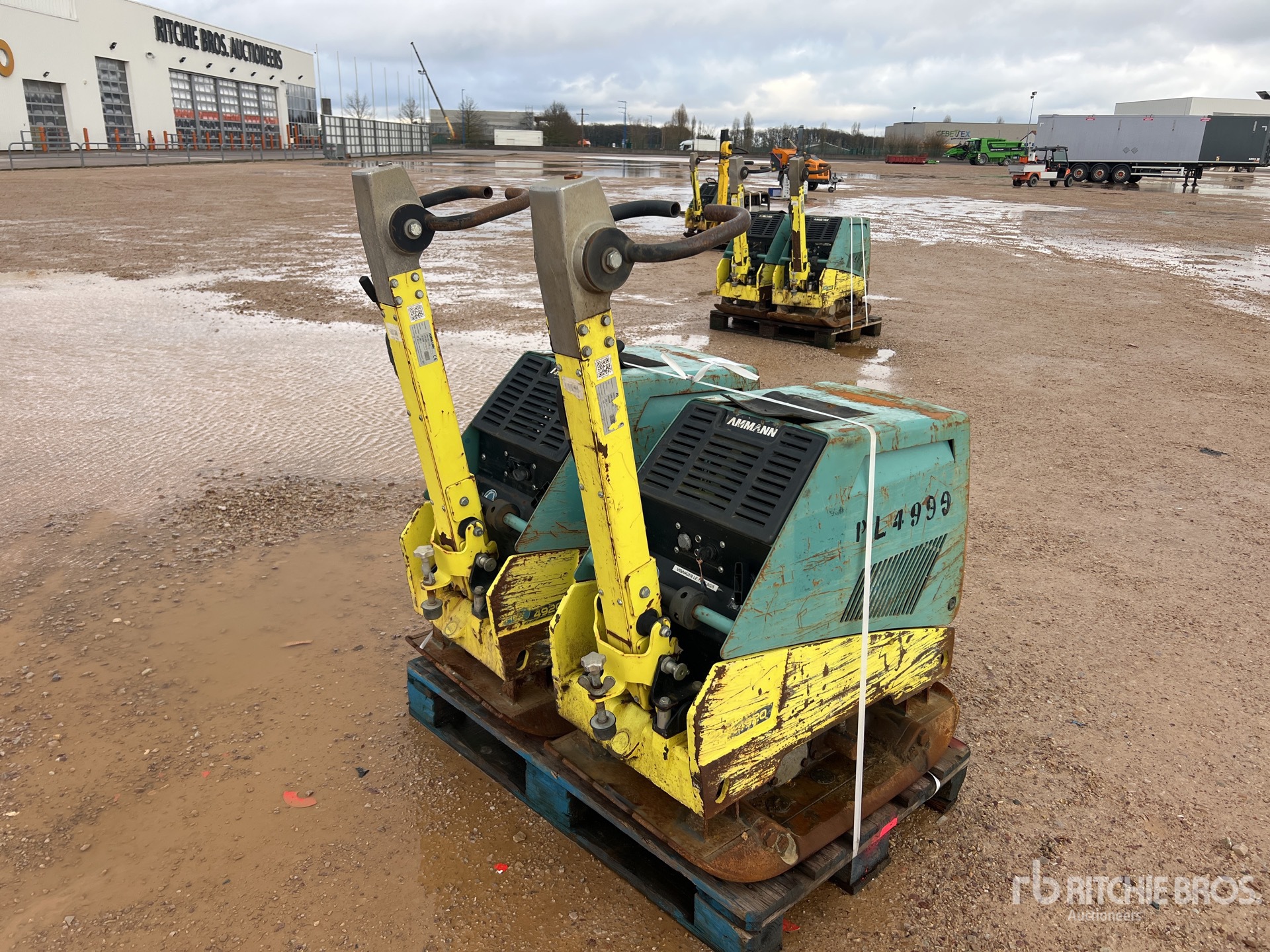 General Appearance with