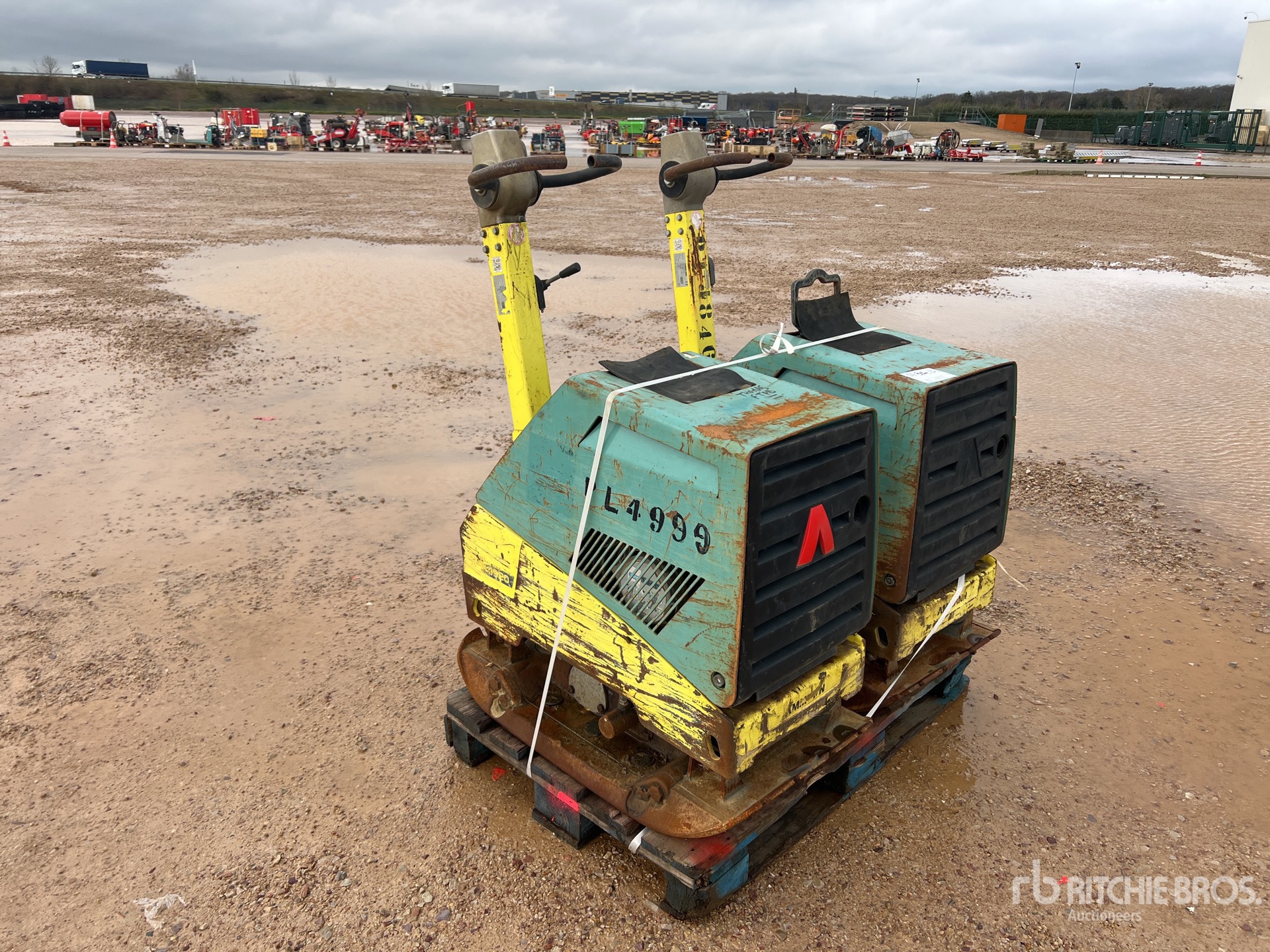 General Appearance with